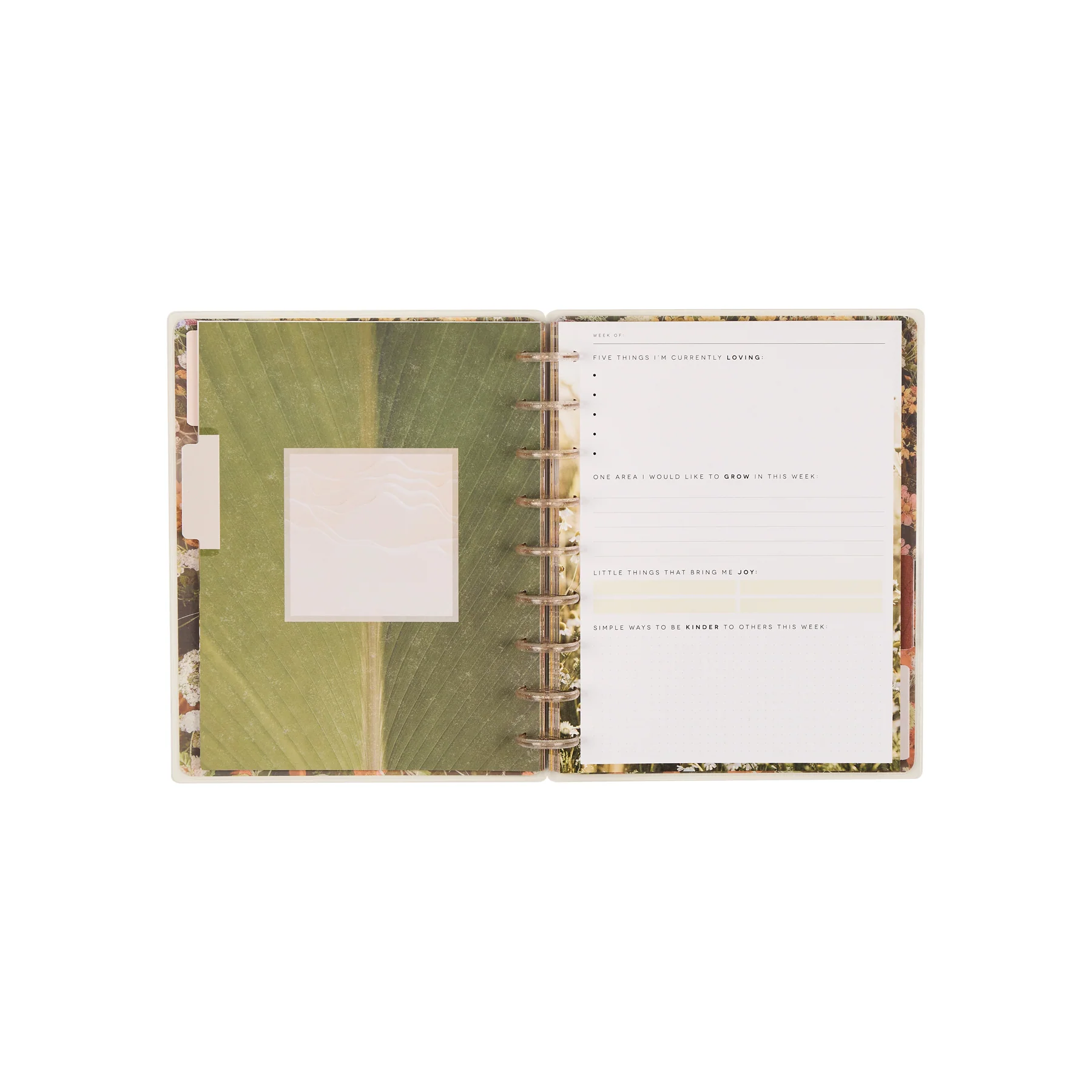 Modern Nature - Classic Guided Wellness Journal - 80 Sheets - Image 14