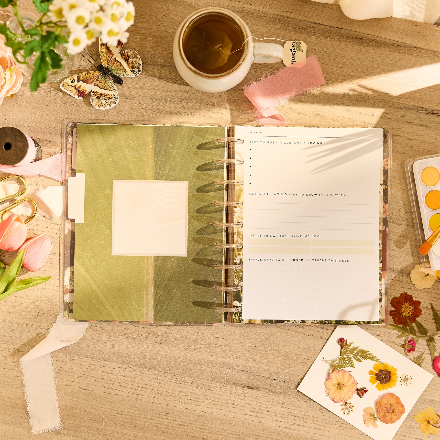 Modern Nature - Classic Guided Wellness Journal - 80 Sheets - Image 4