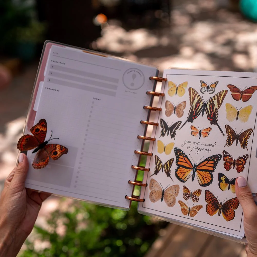 Papillon Butterfly Classic Extension Pack - Image 3