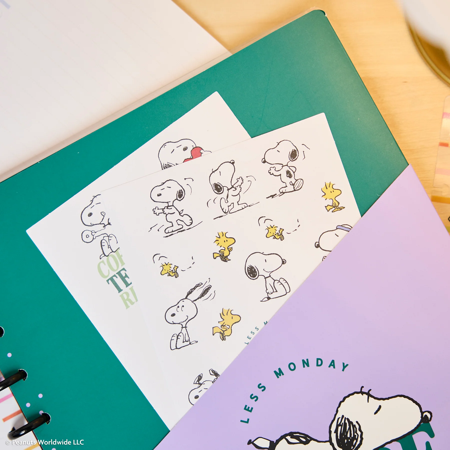 PEANUTS™ - Big Accessory Pack - Image 4