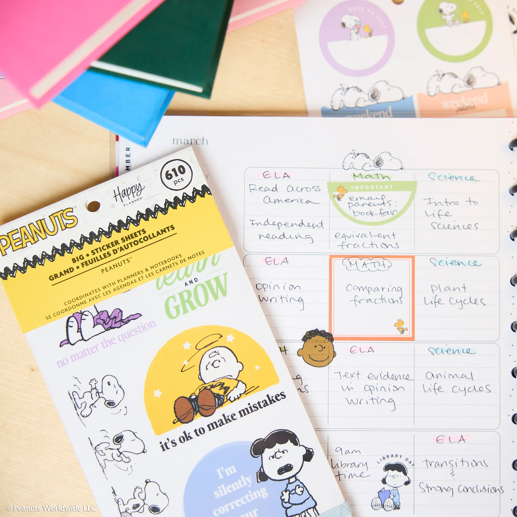 PEANUTS™ Teacher - Value Pack Stickers - Big - Image 8