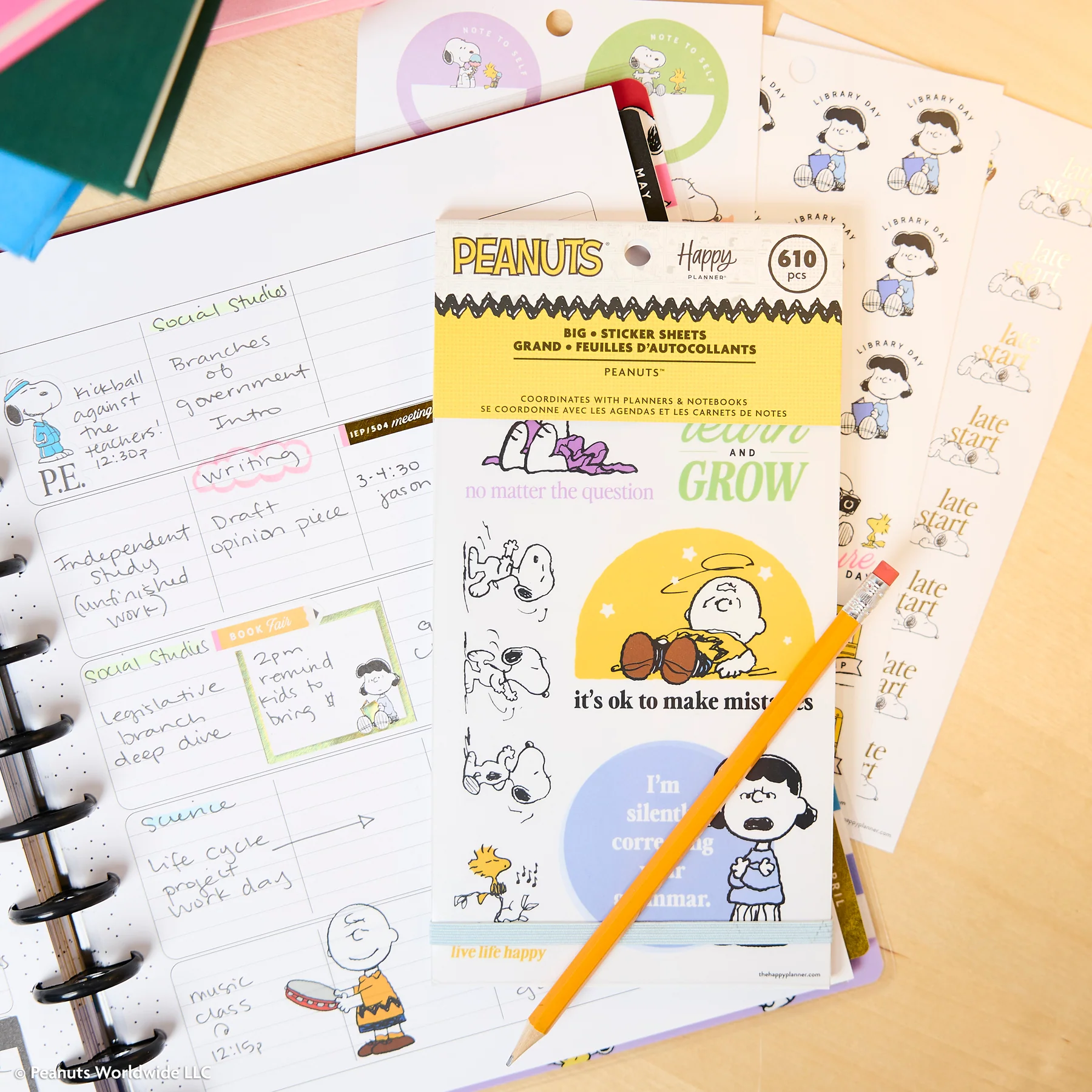 PEANUTS™ Teacher - Value Pack Stickers - Big - Image 9