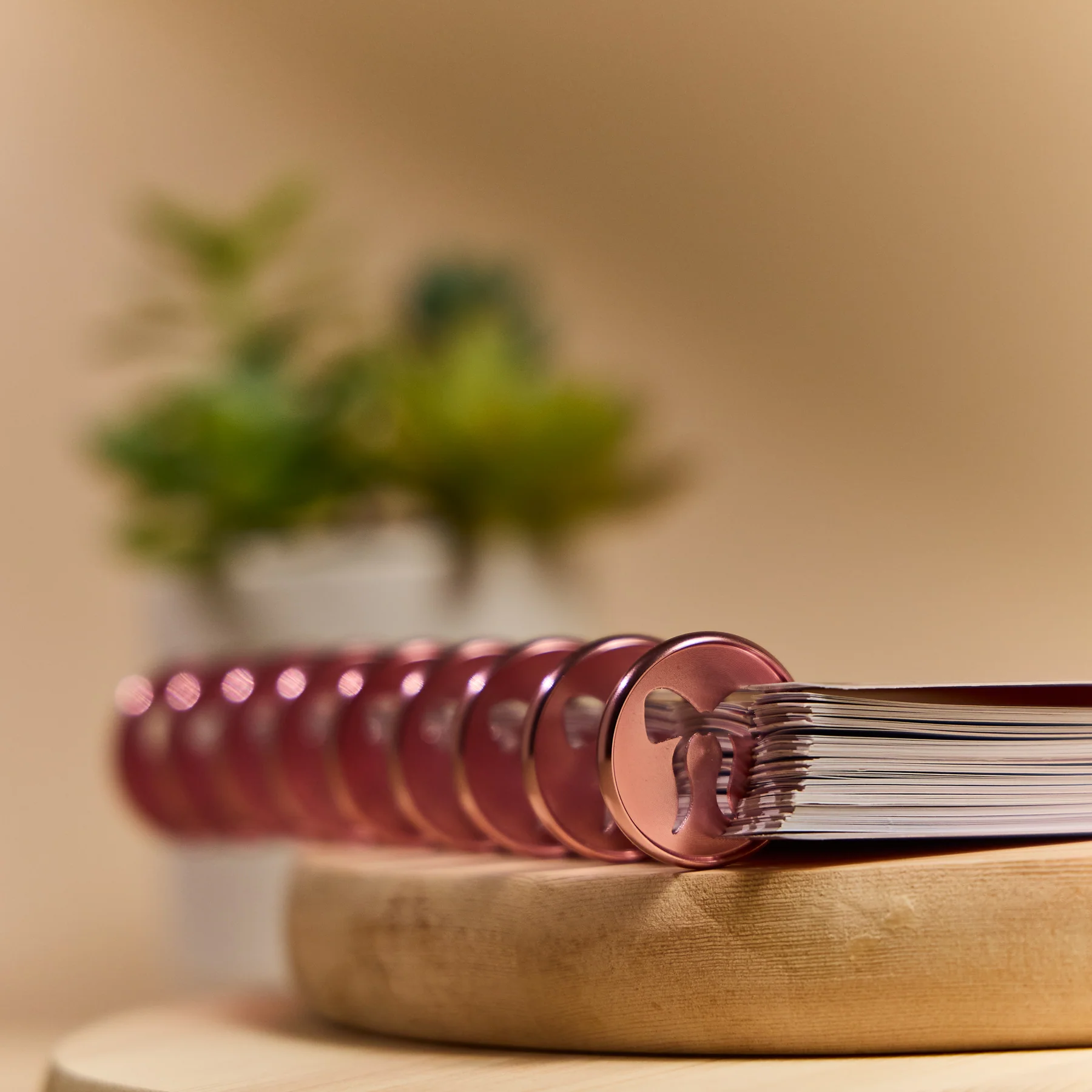 Pink Bow Cutout - Medium Metal Disc Set - Image 2