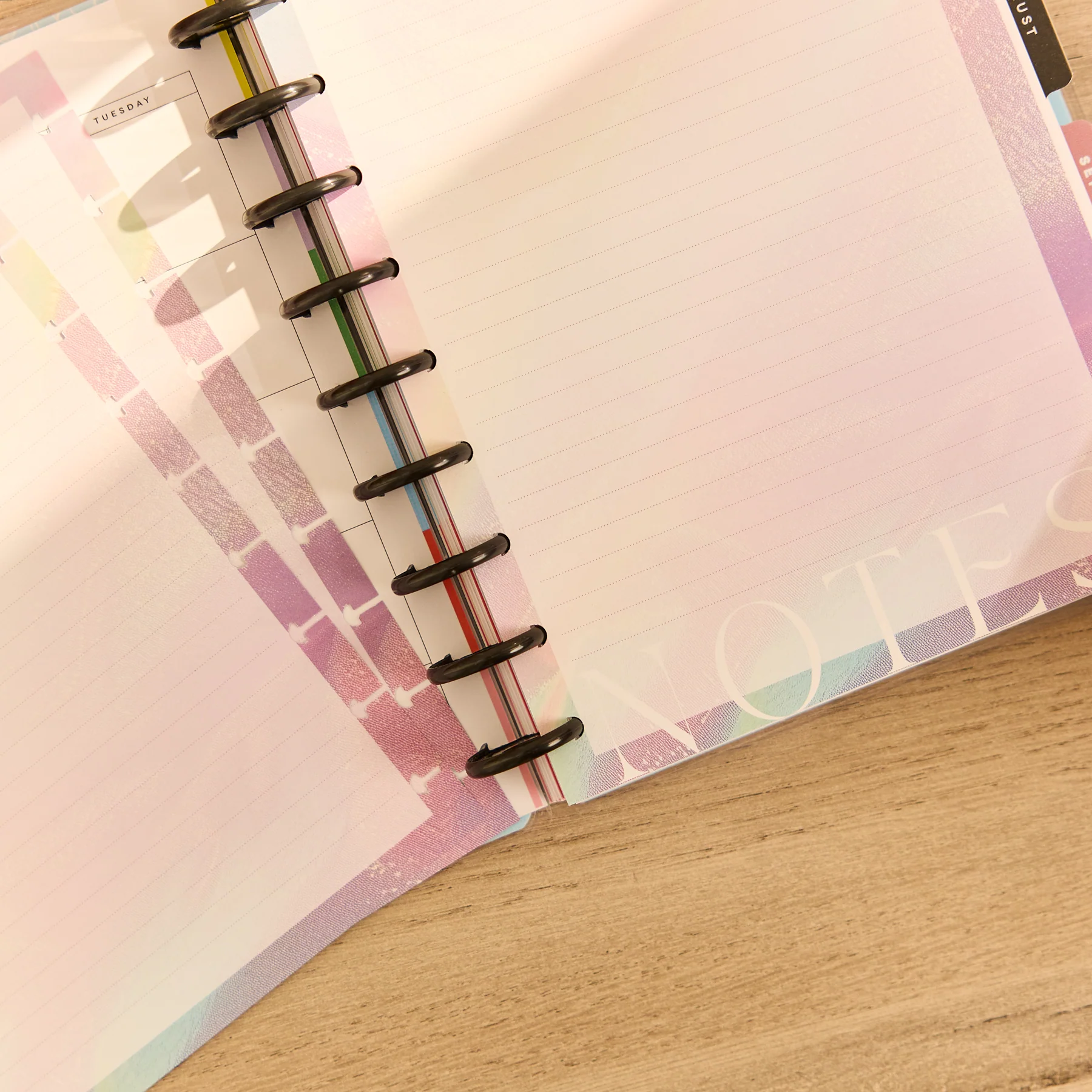Prism & Pearl - Dotted Lined Classic Filler Paper - 40 Sheets - Image 2