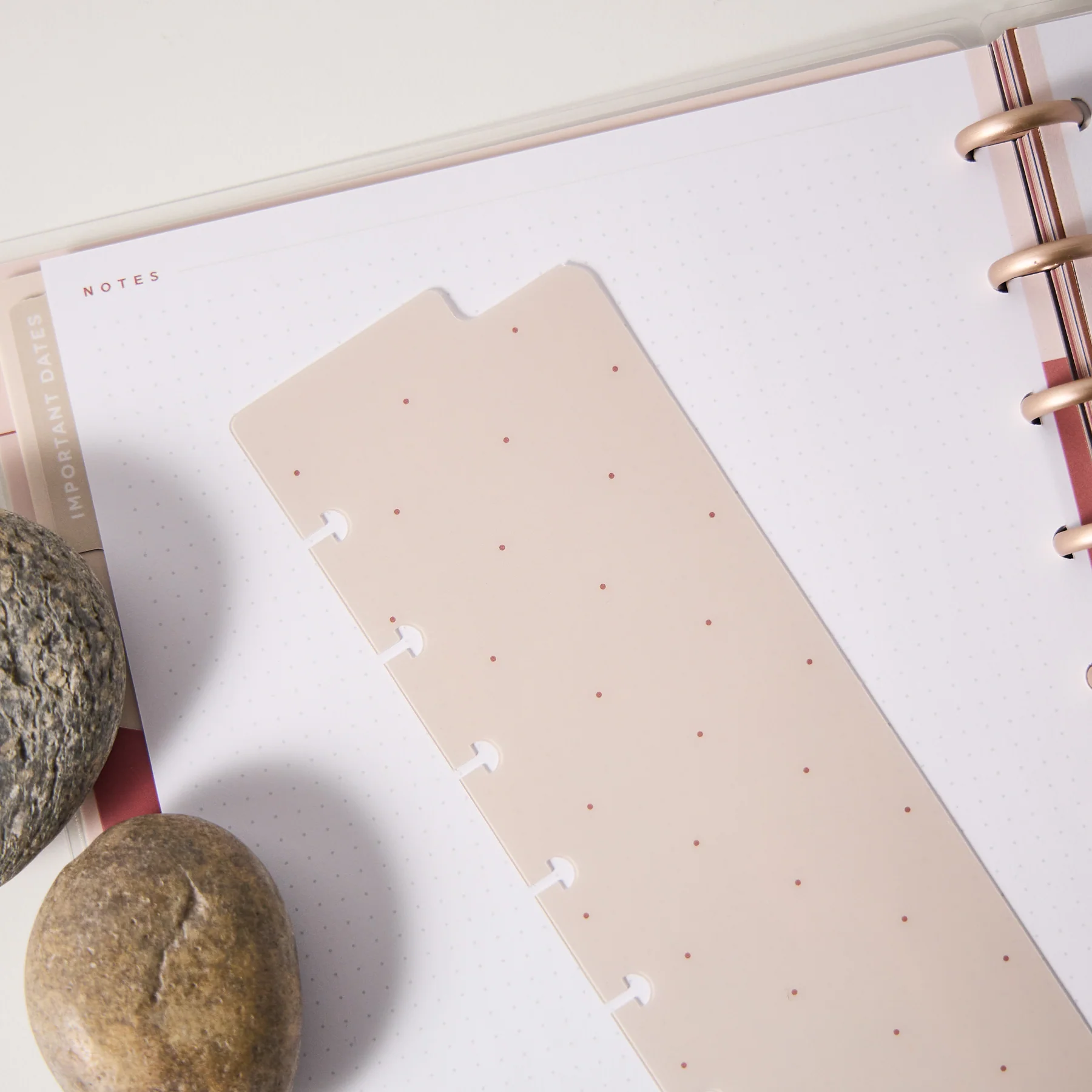 Rise & Align - Important Dates - Classic Accessory Pack - Image 10