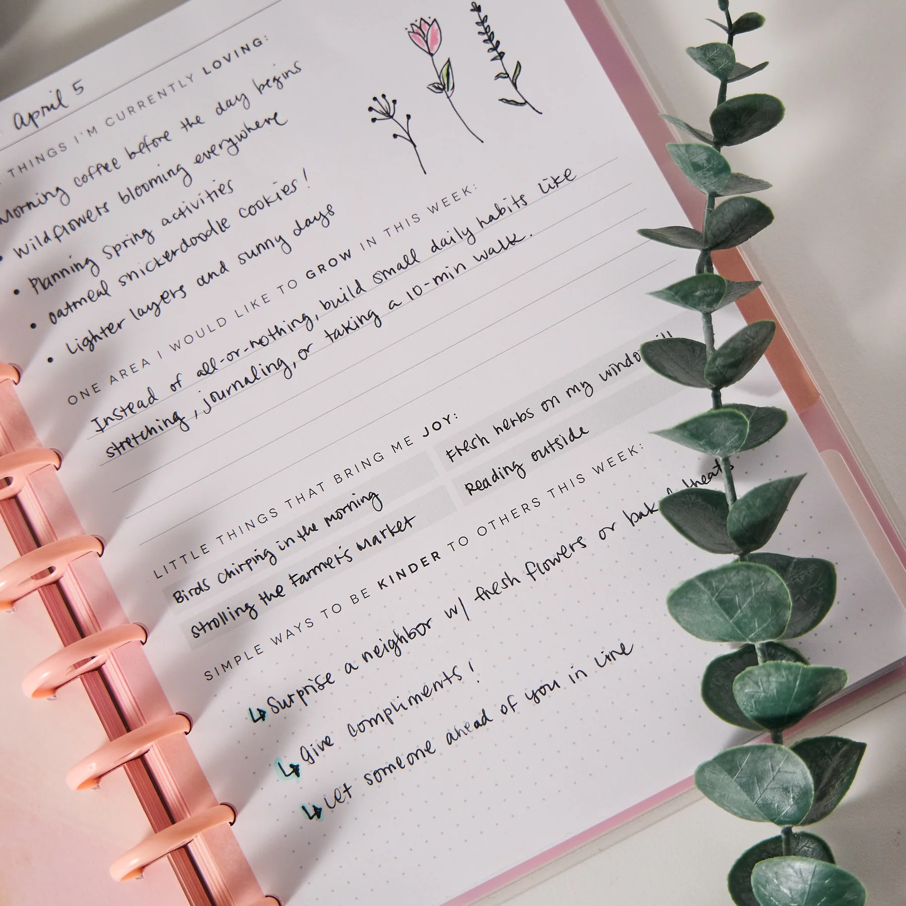 Rise & Align Wellness - Classic Guided Wellness Journal - 80 Sheets - Image 5
