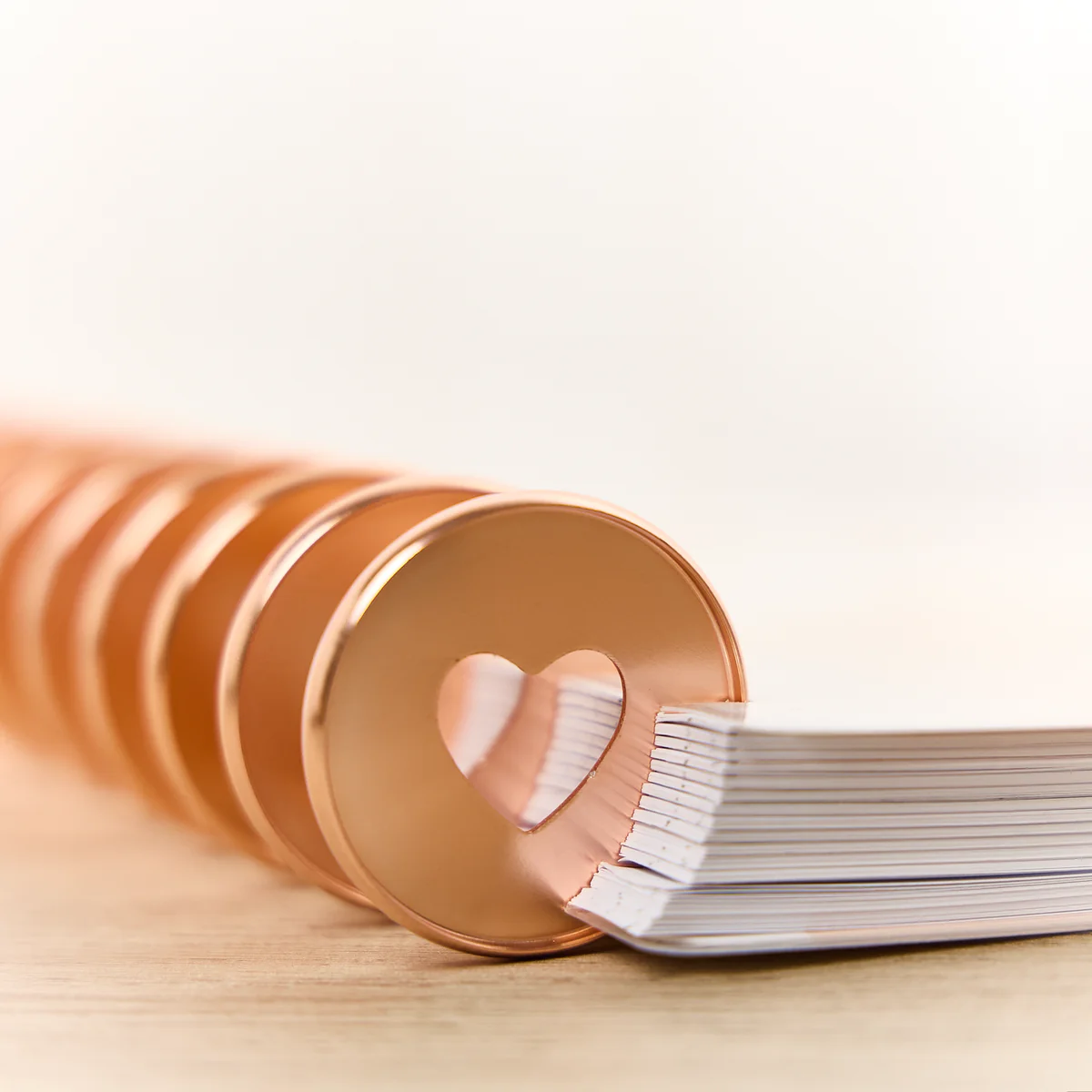 Rose Gold - Expander Metal Disc Set - Image 2