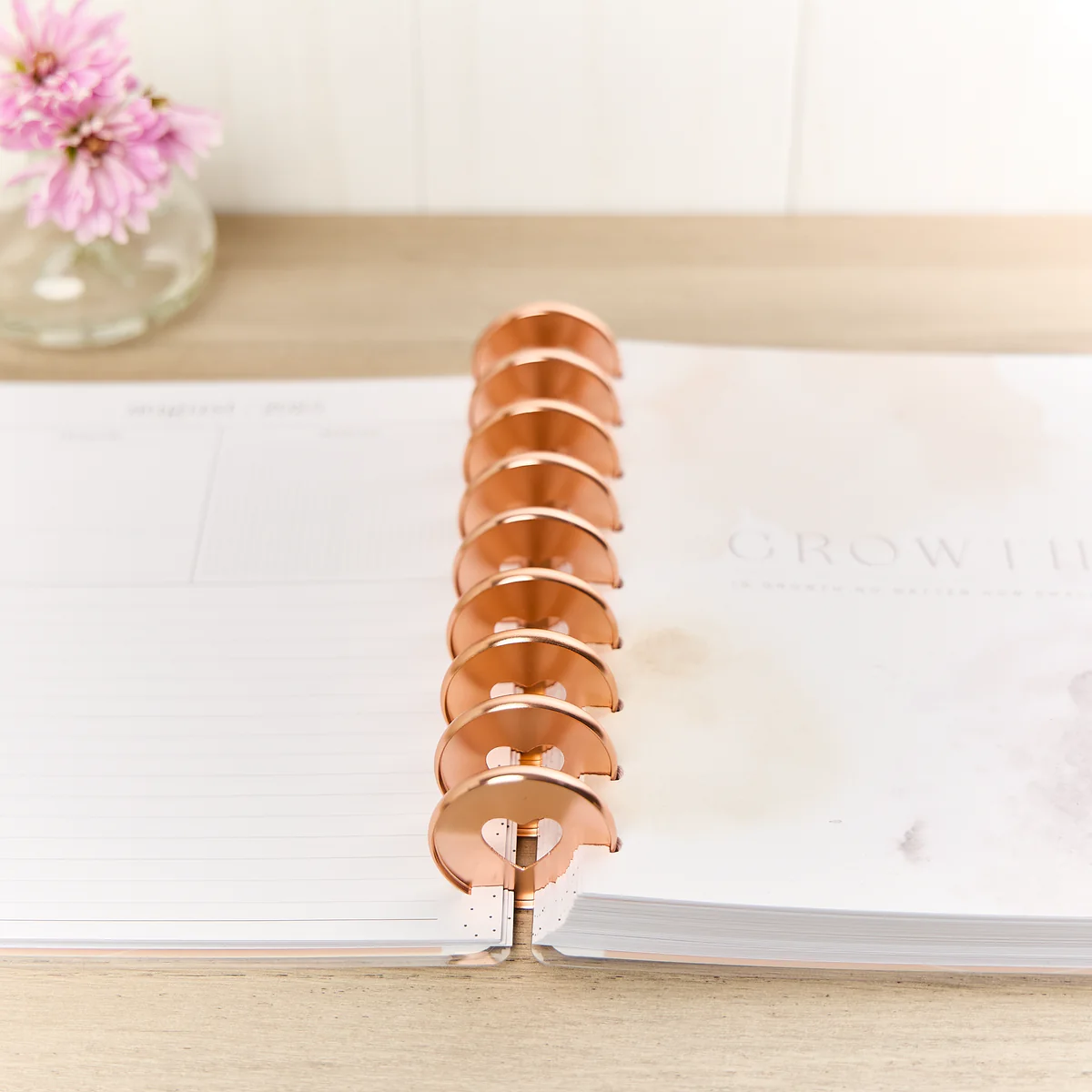 Rose Gold - Expander Metal Disc Set - Image 4
