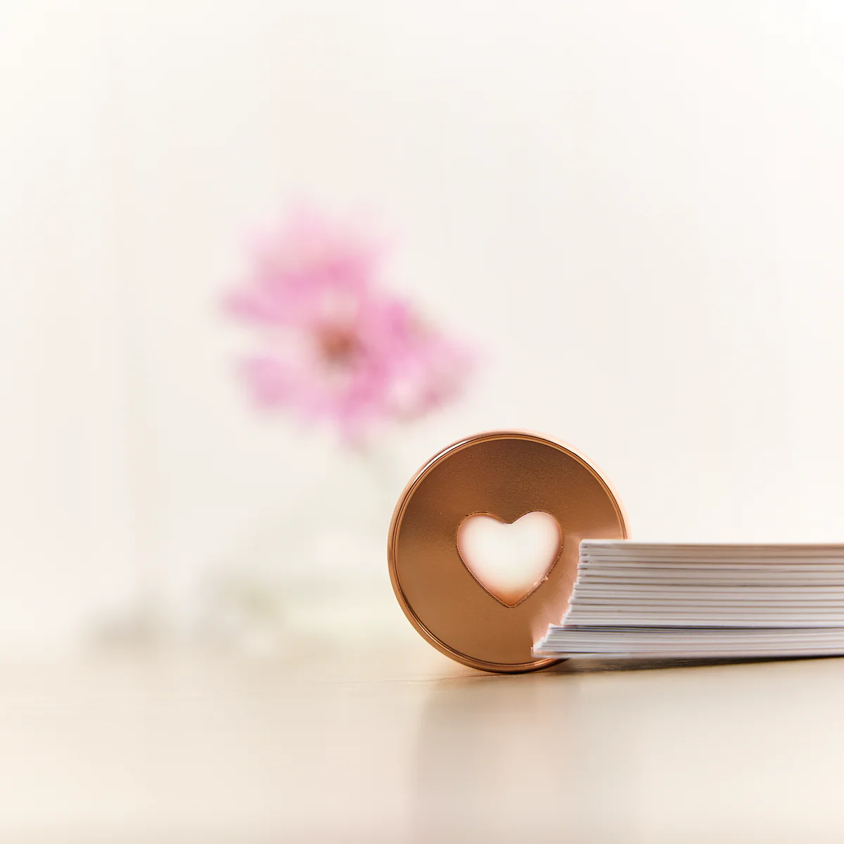 Rose Gold - Expander Metal Disc Set - Image 5