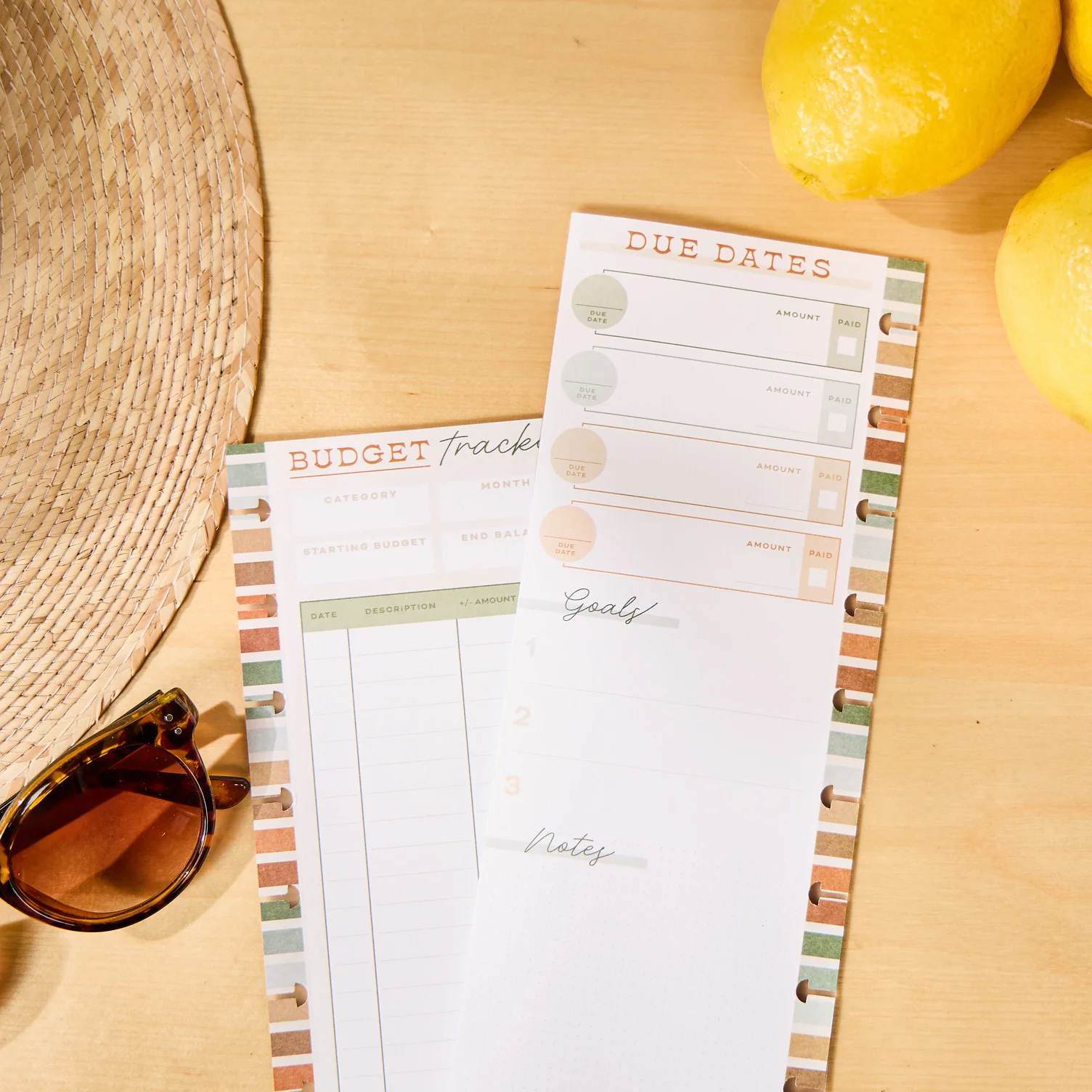 Sage & Terracotta Budget - Budget Classic Filler Paper - 40 Sheets - Image 10