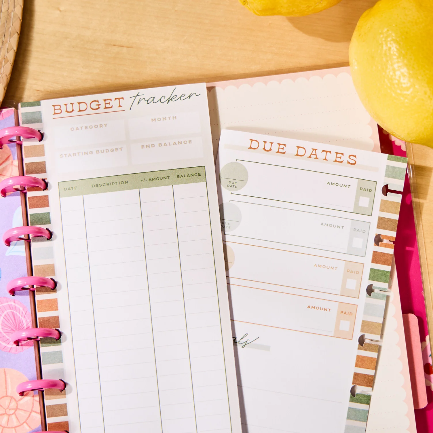 Sage & Terracotta Budget - Budget Classic Filler Paper - 40 Sheets - Image 2