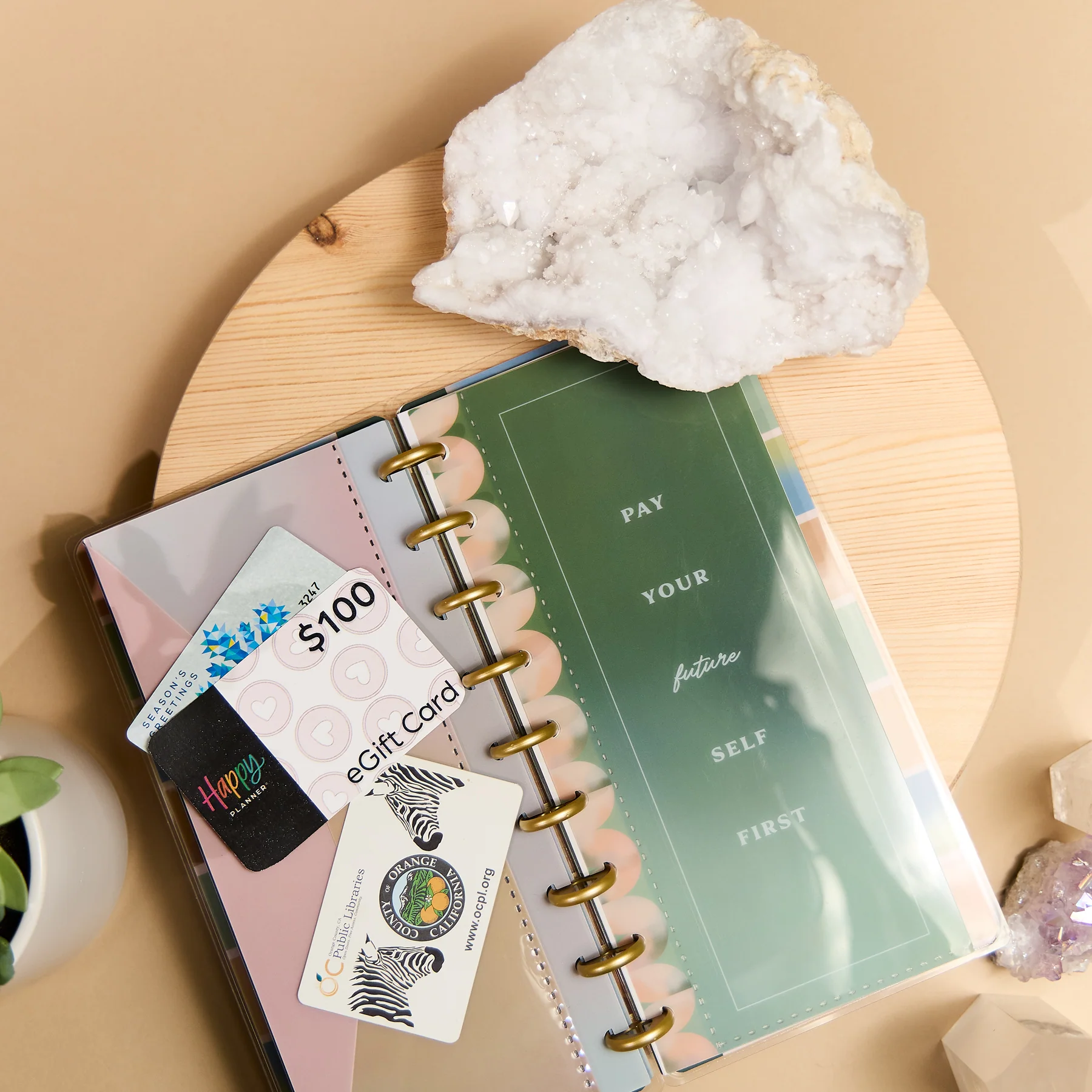 Savvy Budgeter - Skinny Classic Budget Tracker Bundle - Image 10