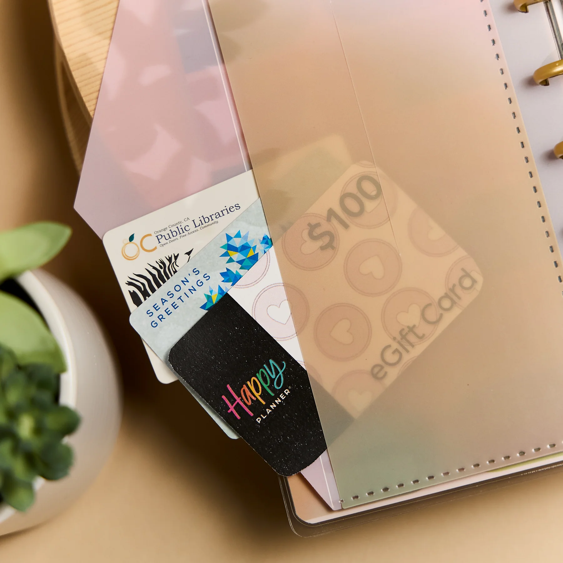 Savvy Budgeter - Skinny Classic Budget Tracker Bundle - Image 2