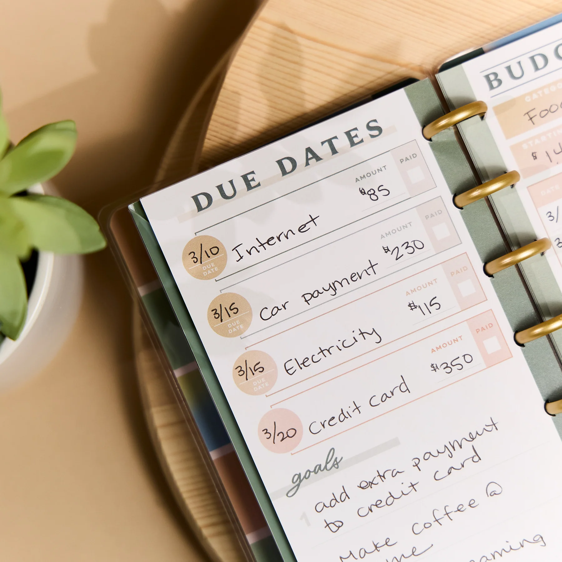 Savvy Budgeter - Skinny Classic Budget Tracker Bundle - Image 7