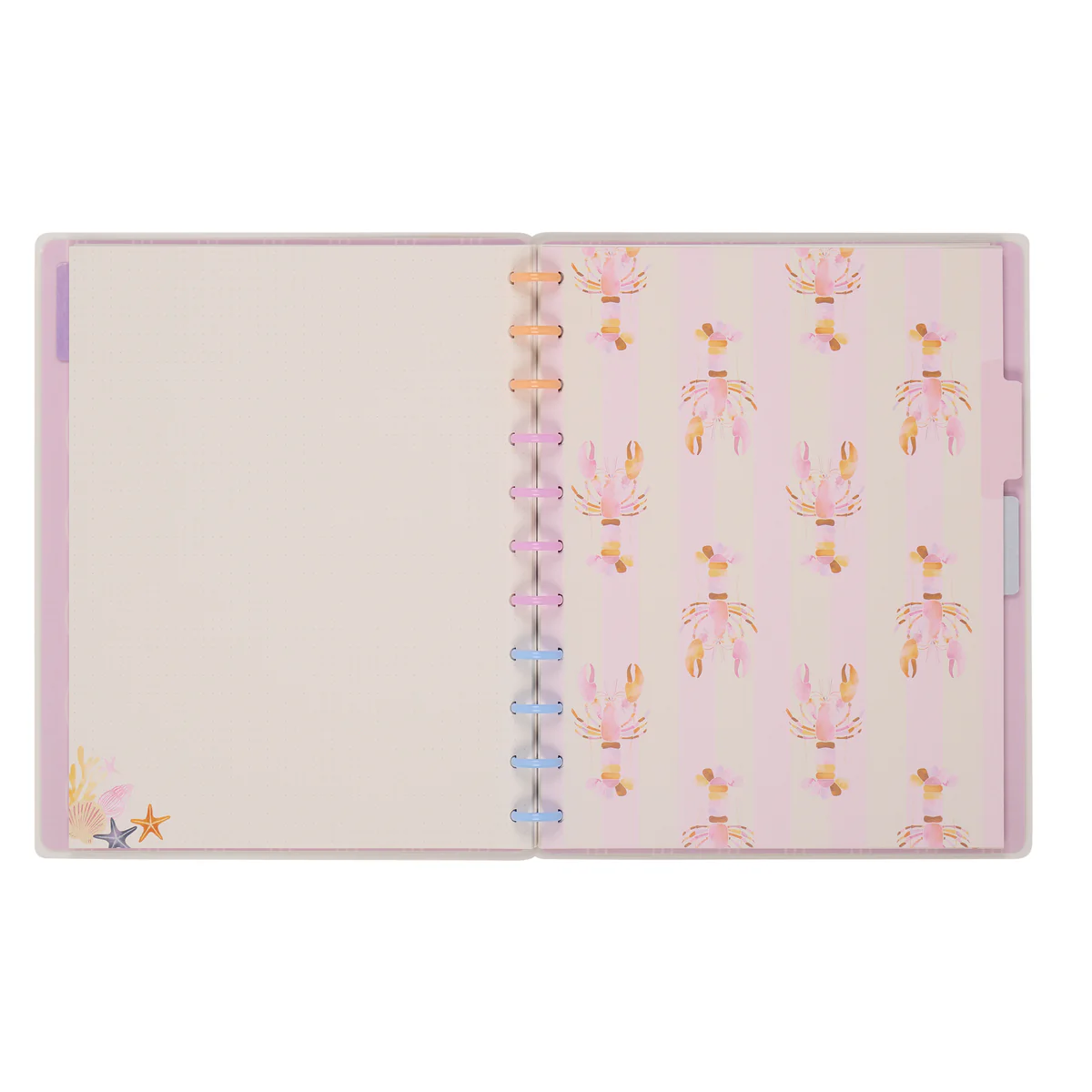 Shell Yeah! - Dotted Lined + Dot Grid Big Notebook - 60 Sheets - Image 12