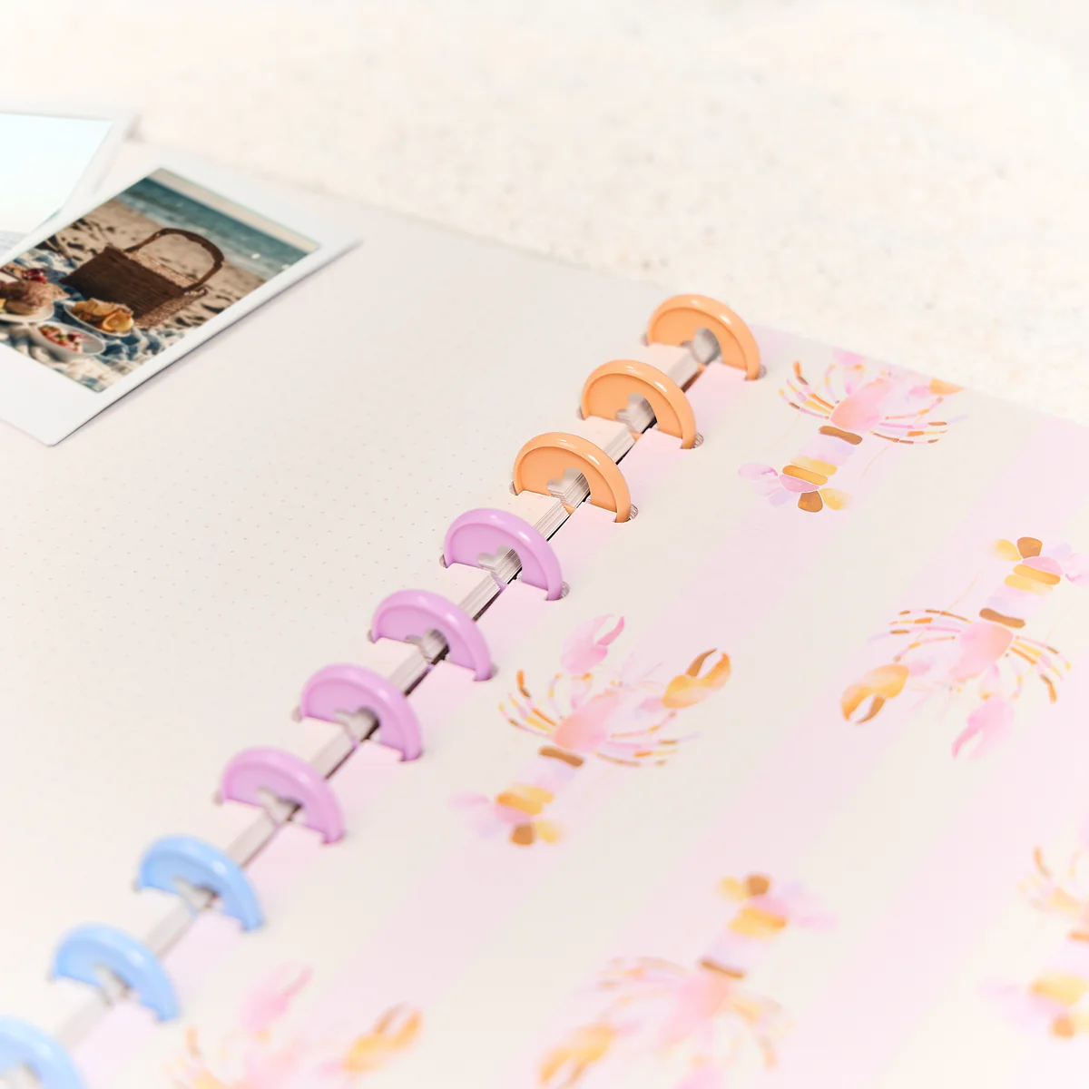 Shell Yeah! - Dotted Lined + Dot Grid Big Notebook - 60 Sheets - Image 5