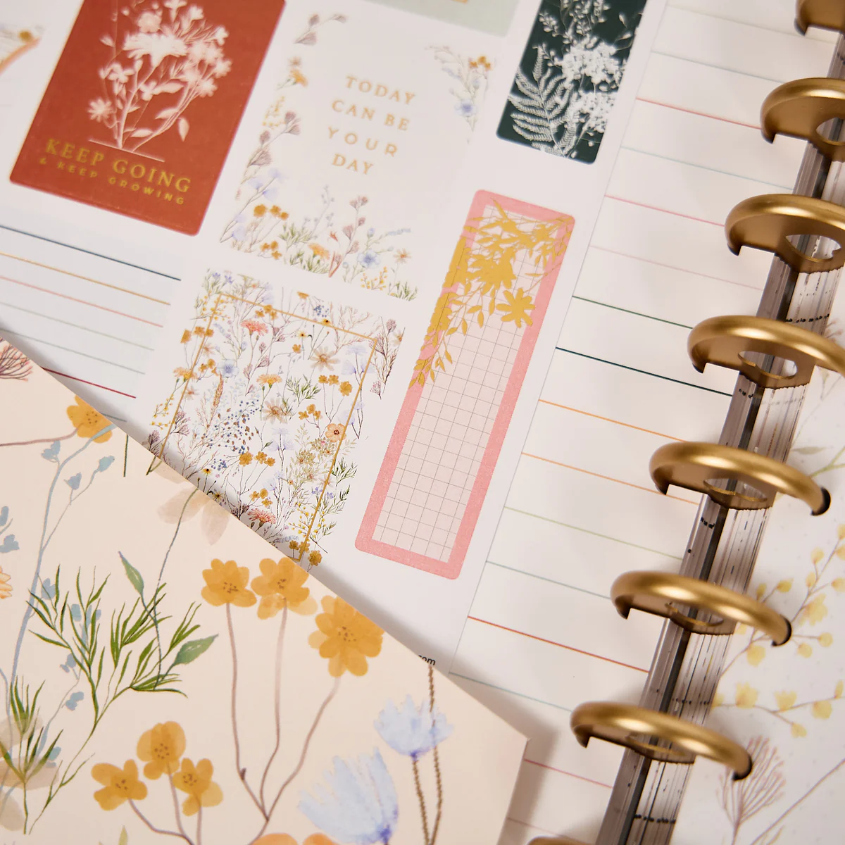 Spring Fields - Big Accessory Pack - Image 18