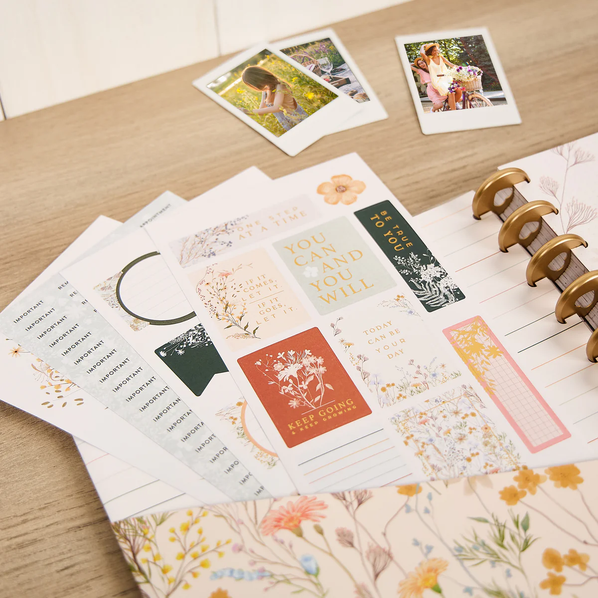 Spring Fields - Big Accessory Pack - Image 3