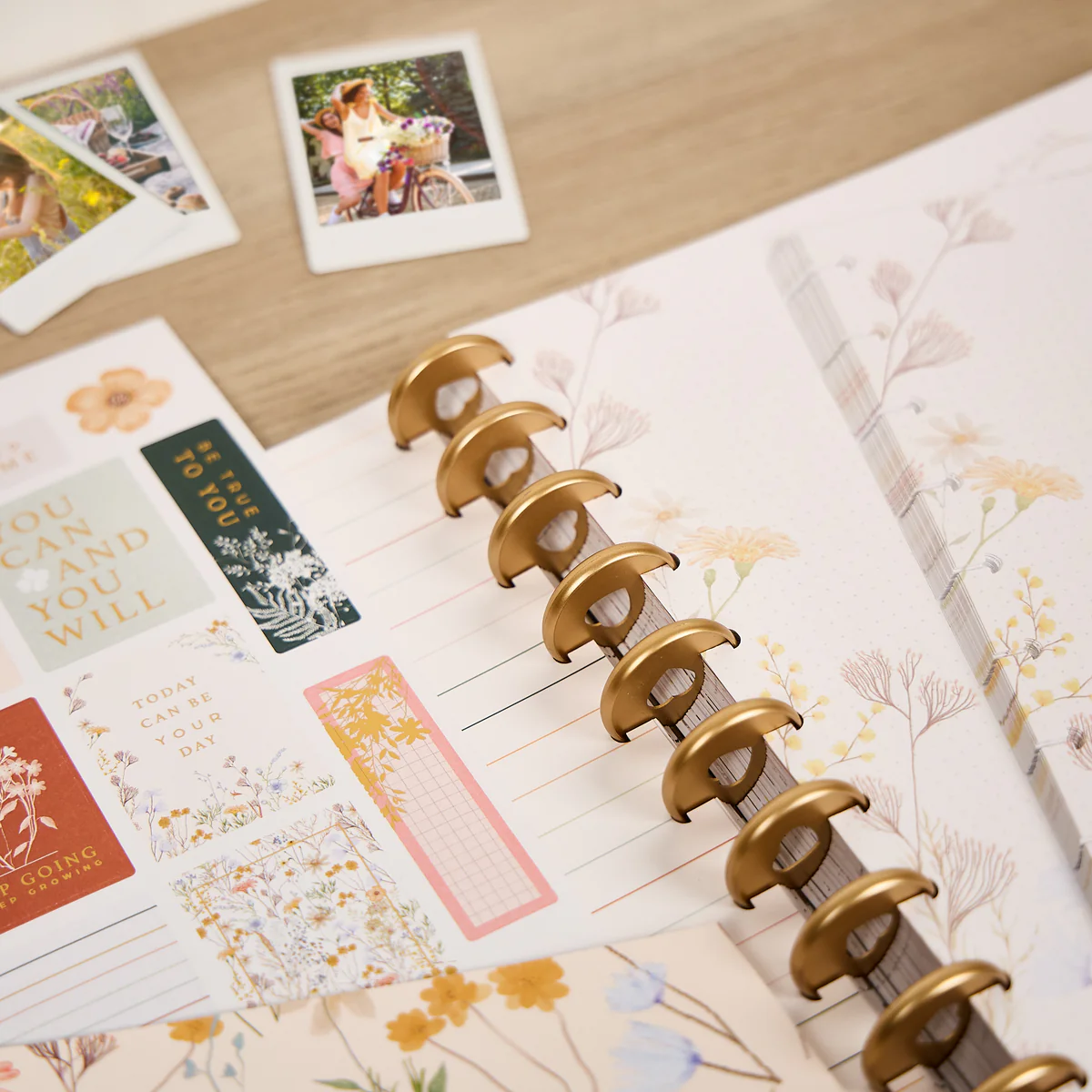 Spring Fields - Big Accessory Pack - Image 6