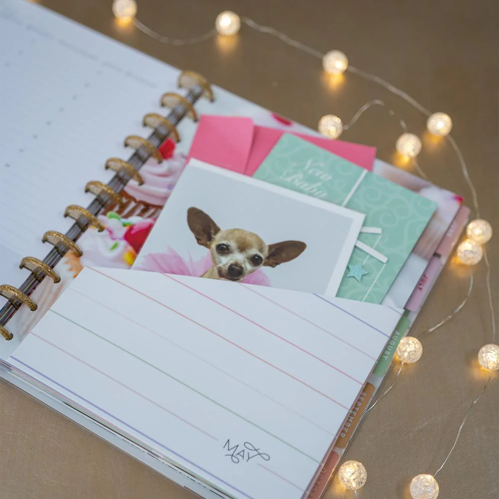 Sweet Celebrations Big Greeting Card Organizer - Image 3