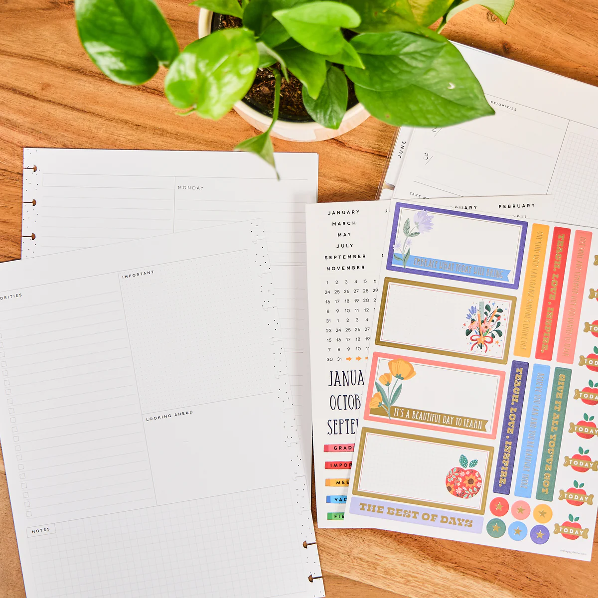 Teachers Are Heroes - Big Dashboard Extension Pack - 6 Months - Image 4