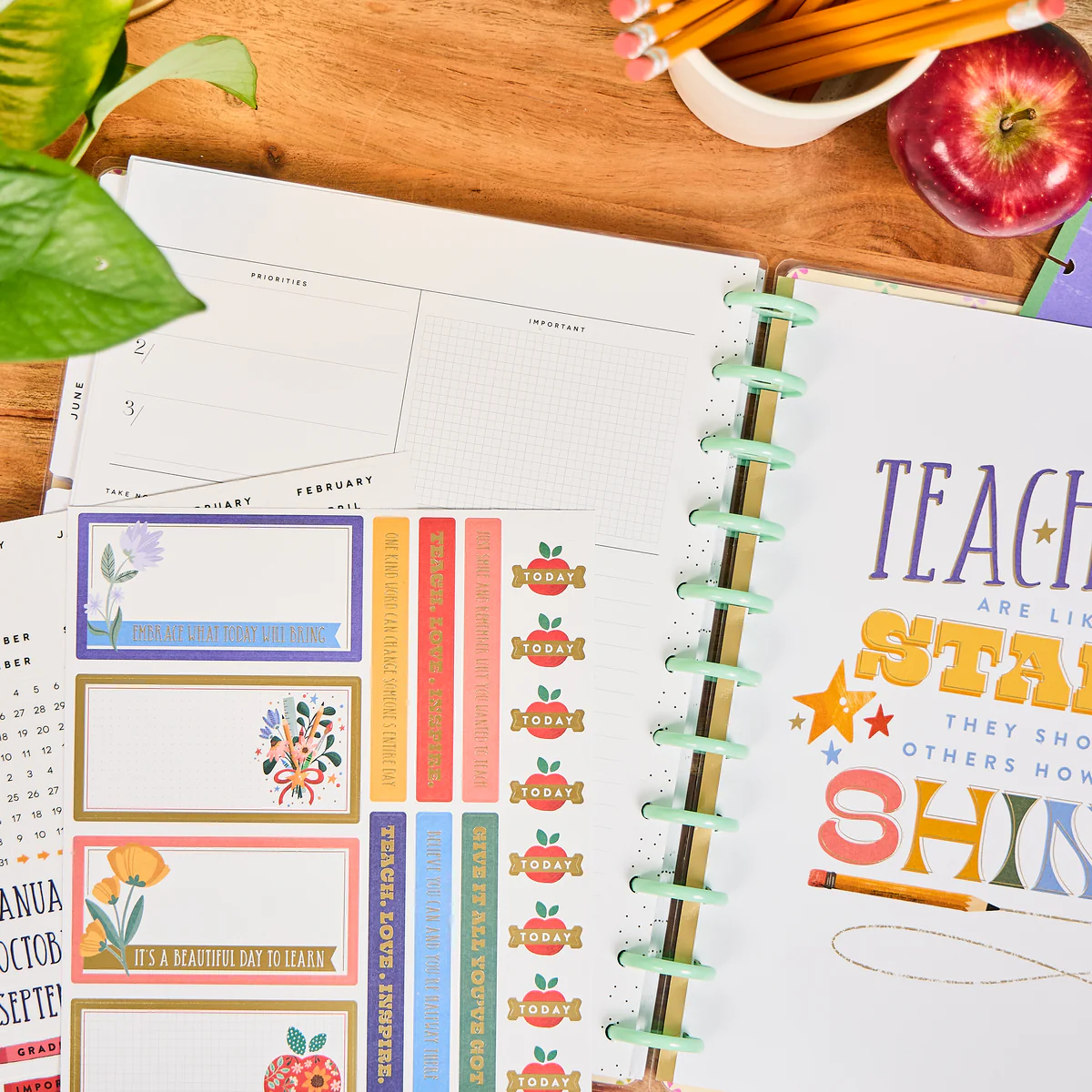 Teachers Are Heroes - Big Dashboard Extension Pack - 6 Months - Image 6