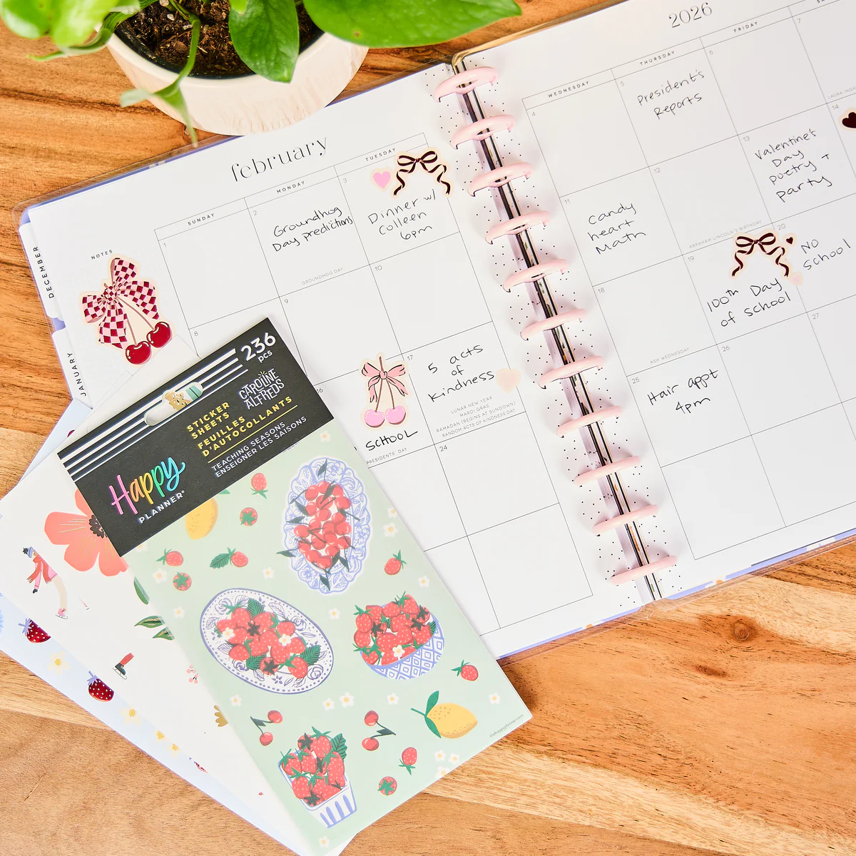 Teaching Seasons - 10 Sticker Sheets - Image 2