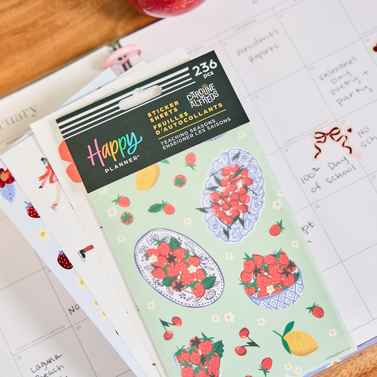 Teaching Seasons - 10 Sticker Sheets - Image 5