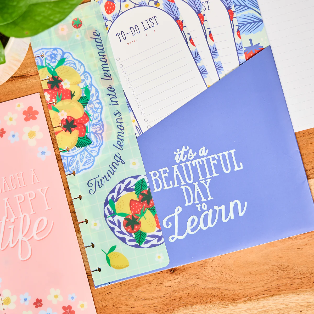 Teaching Seasons - Big Accessory Pack - Image 6