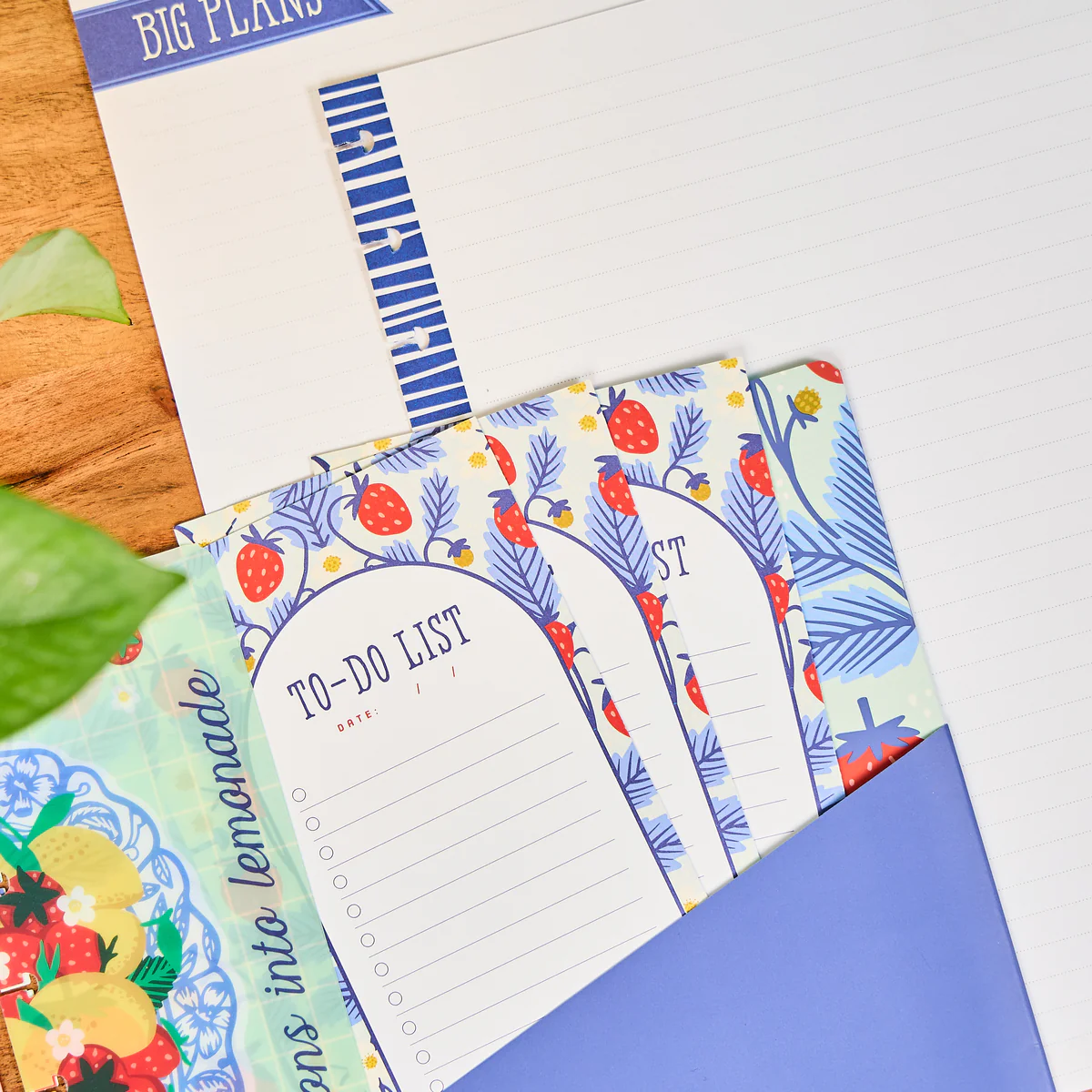 Teaching Seasons - Big Accessory Pack - Image 7