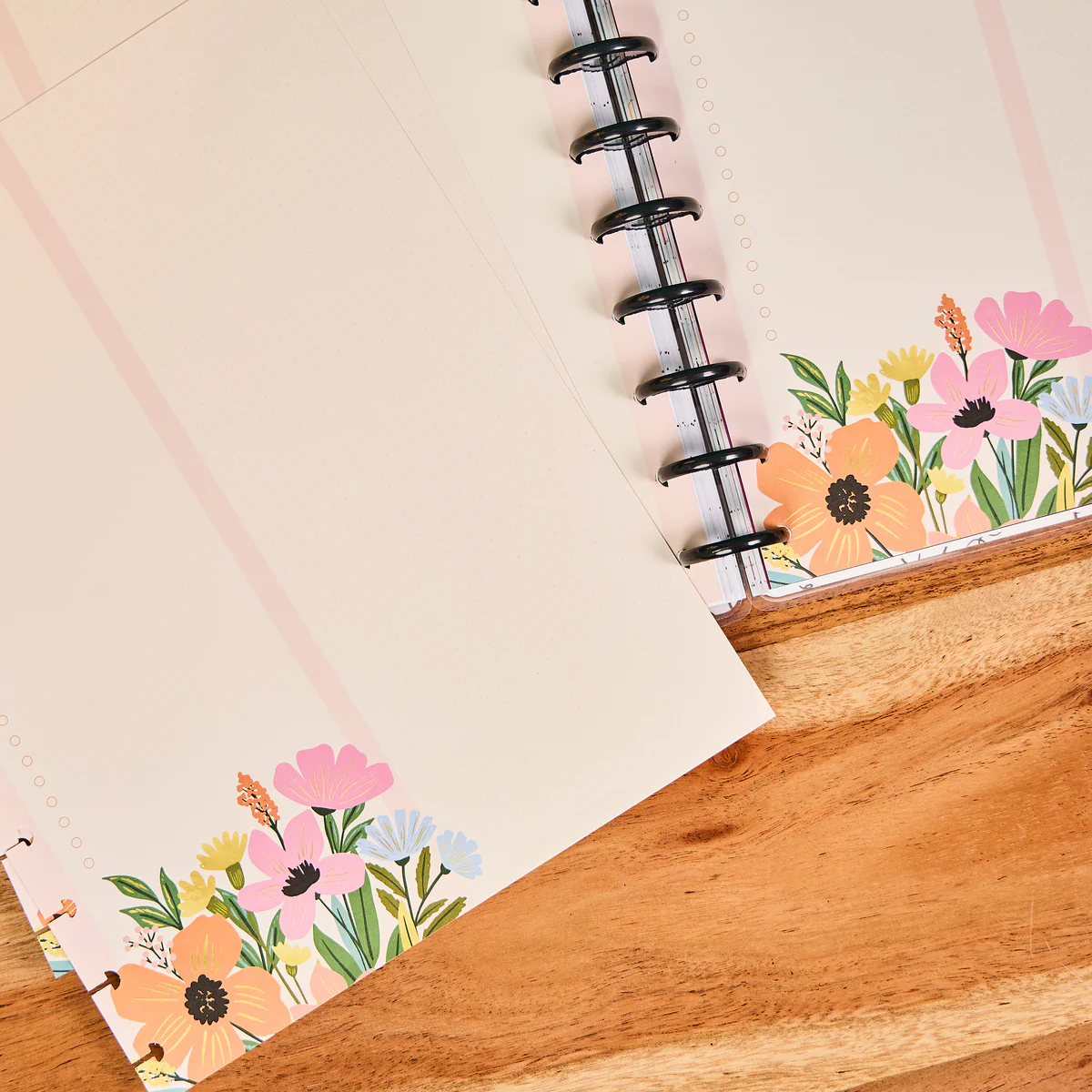 Teaching Seasons - Dashboard + Dotted Lined Big Filler Paper - 40 Sheets - Image 2