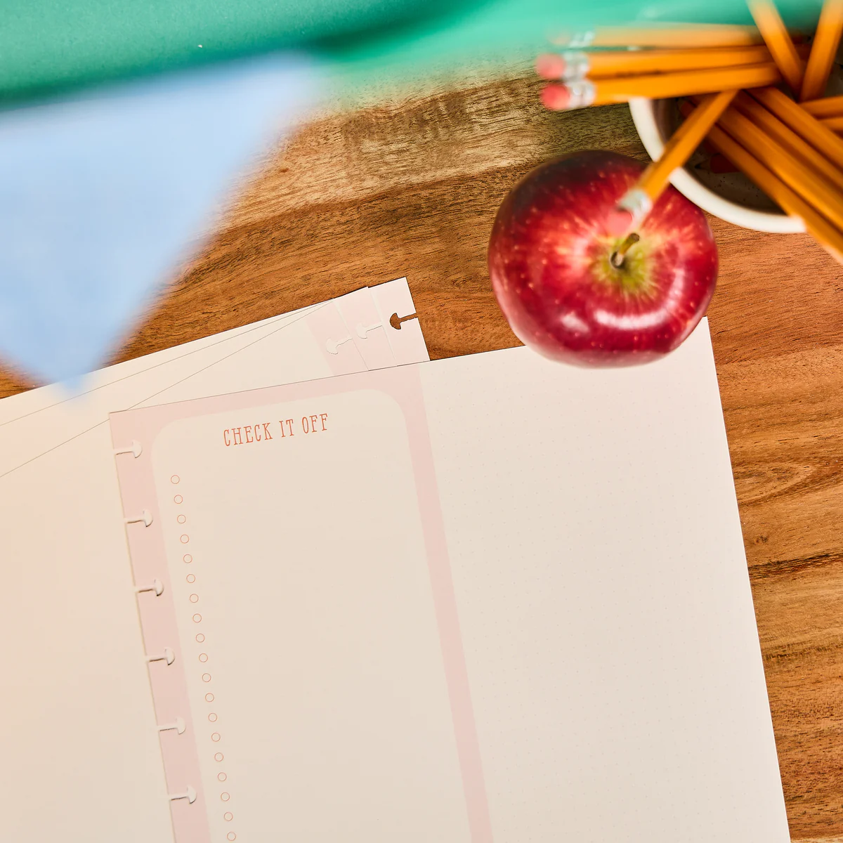 Teaching Seasons - Dashboard + Dotted Lined Big Filler Paper - 40 Sheets - Image 4