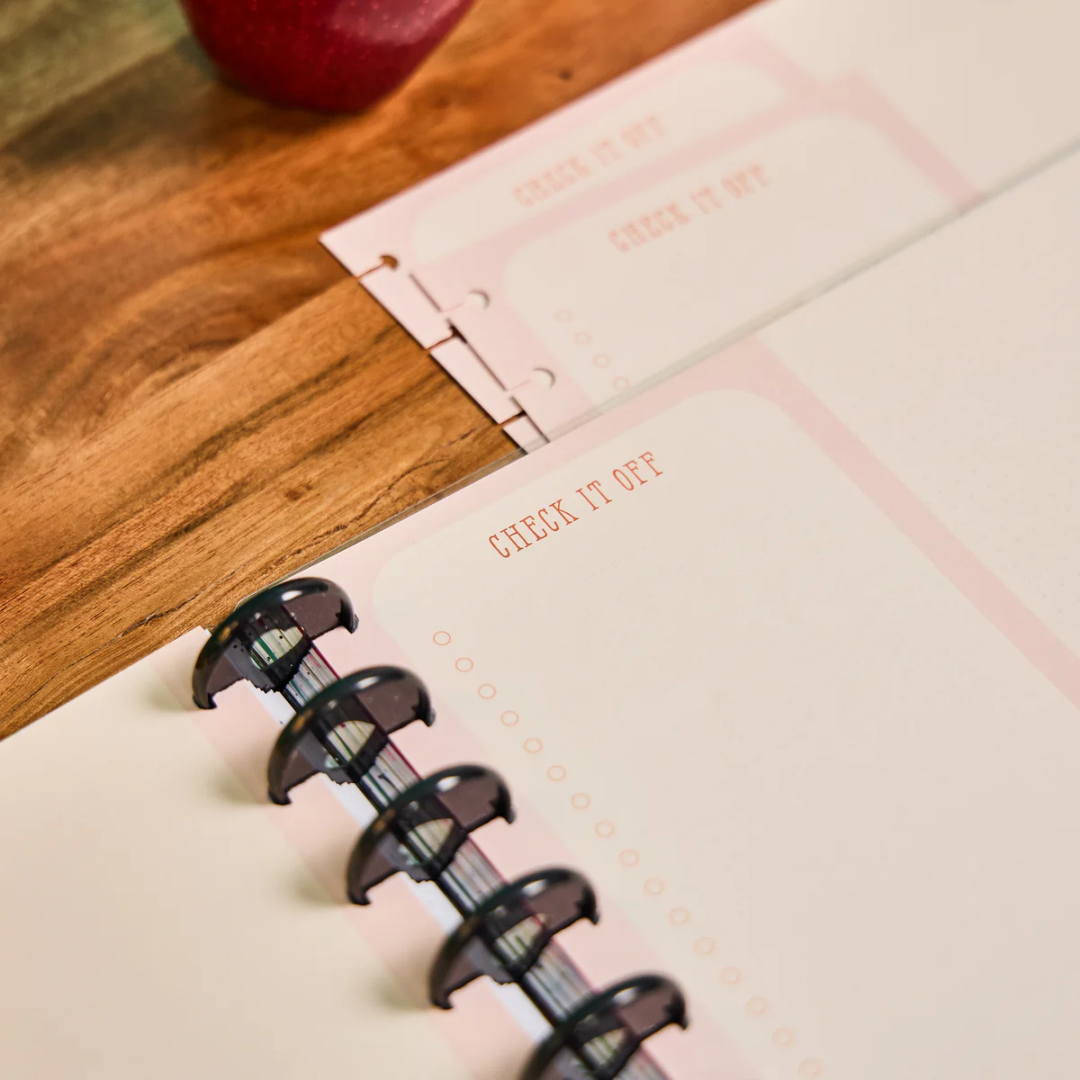 Teaching Seasons - Dashboard + Dotted Lined Big Filler Paper - 40 Sheets - Image 5