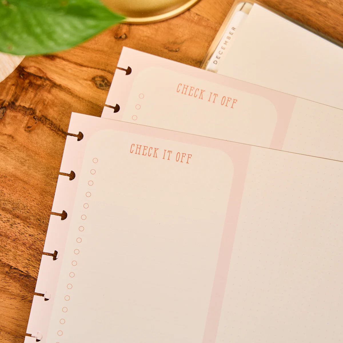 Teaching Seasons - Dashboard + Dotted Lined Big Filler Paper - 40 Sheets - Image 6