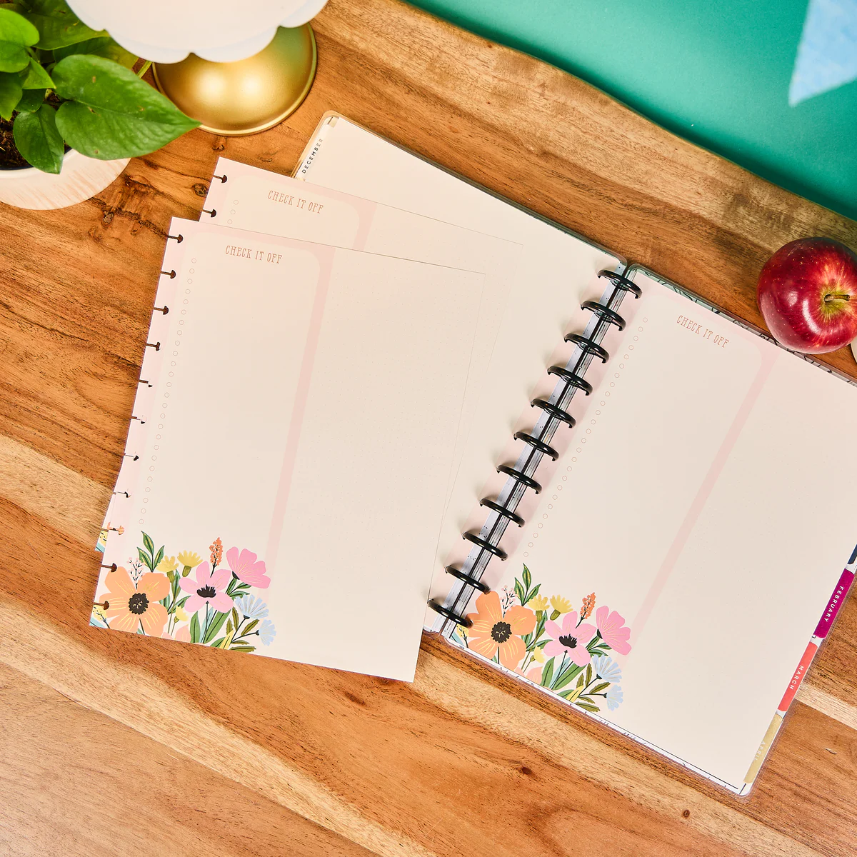 Teaching Seasons - Dashboard + Dotted Lined Big Filler Paper - 40 Sheets - Image 7