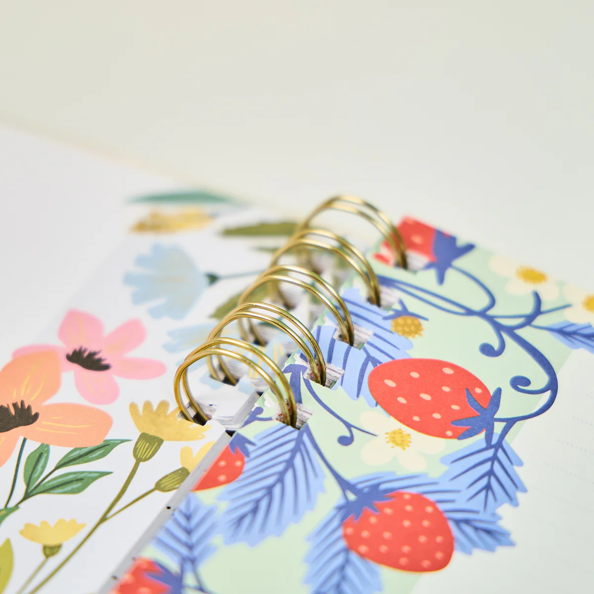 Teaching Seasons - Dotted Lined + Dot Grid Customizable Spiral Big Filler Paper - 40 Sheets - Image 4