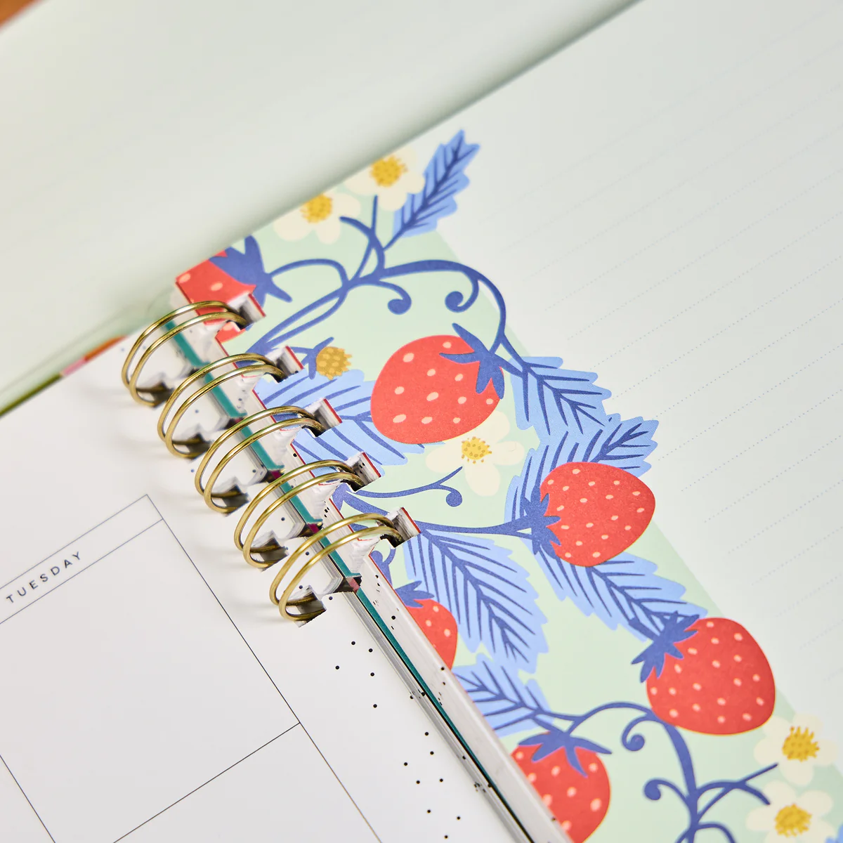 Teaching Seasons - Dotted Lined + Dot Grid Customizable Spiral Big Filler Paper - 40 Sheets - Image 5