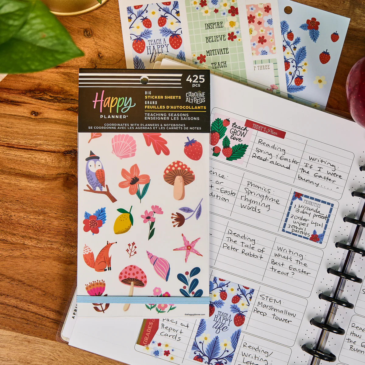 Teaching Seasons - Value Pack Stickers - Big - Image 4