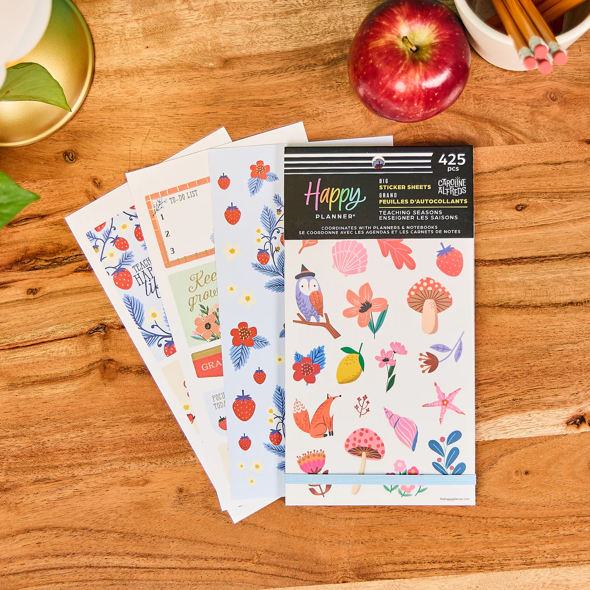 Teaching Seasons - Value Pack Stickers - Big - Image 6