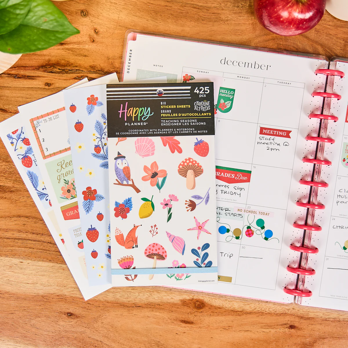 Teaching Seasons - Value Pack Stickers - Big - Image 7