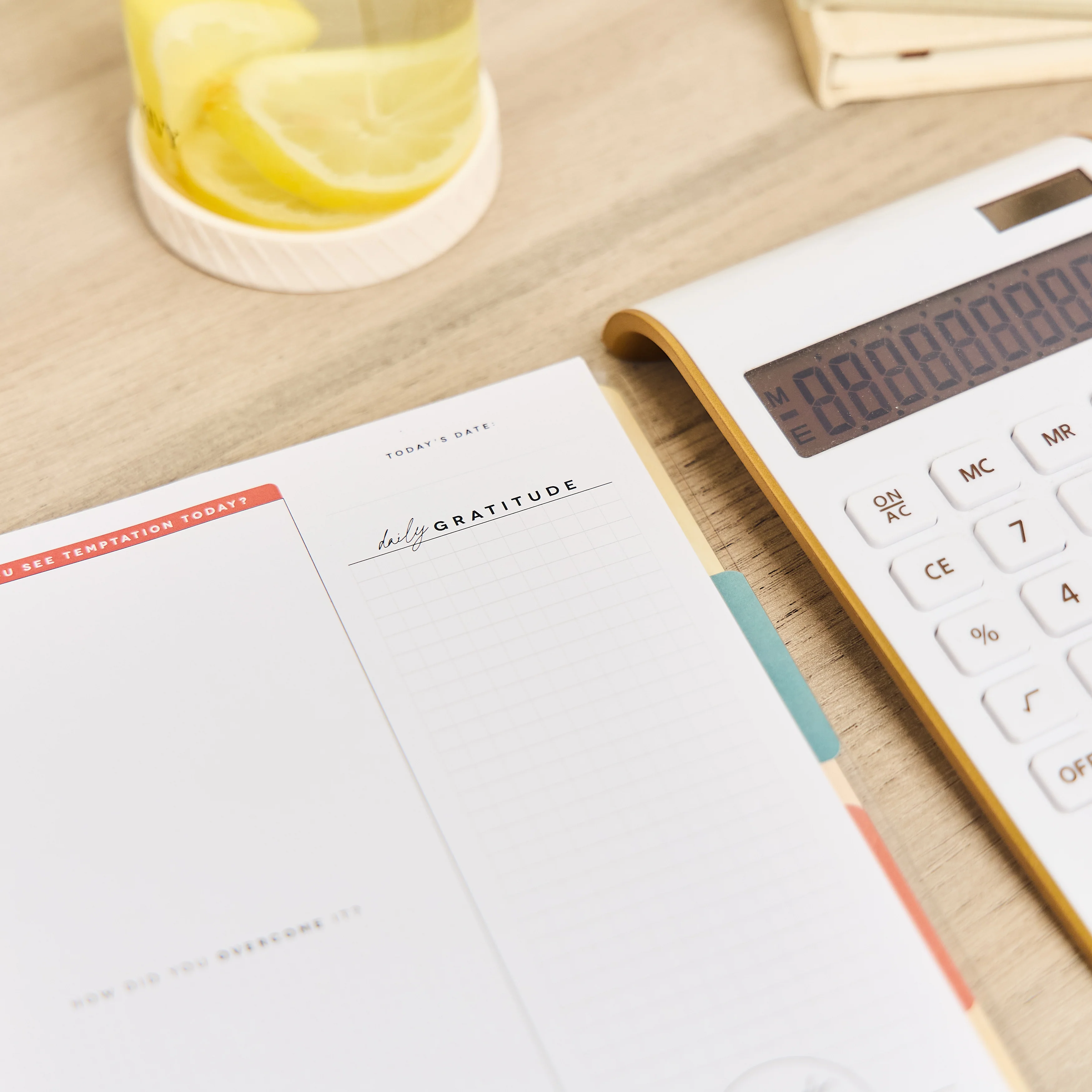 Textured Canvas Budget - Classic Guided Budget Journal - 40 Sheets - Image 11