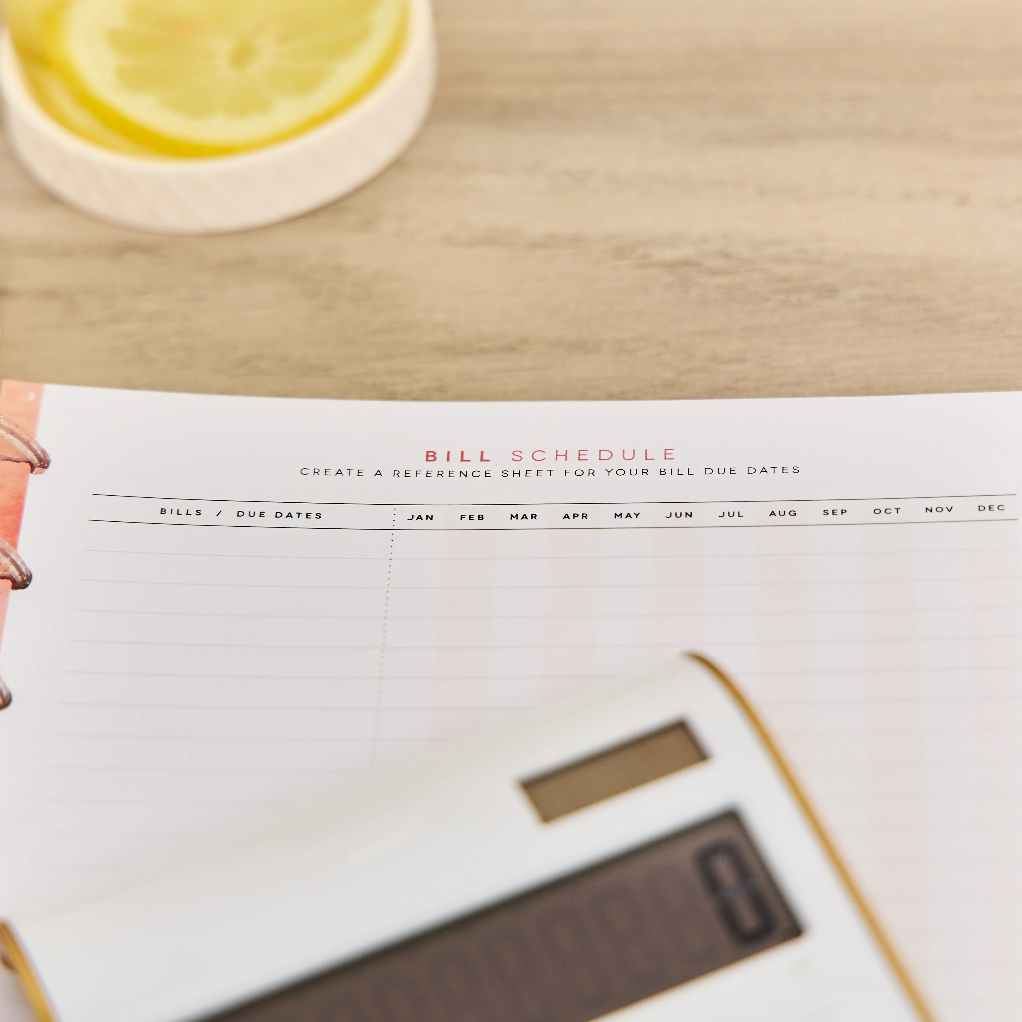 Textured Canvas Budget - Classic Guided Budget Journal - 40 Sheets - Image 9