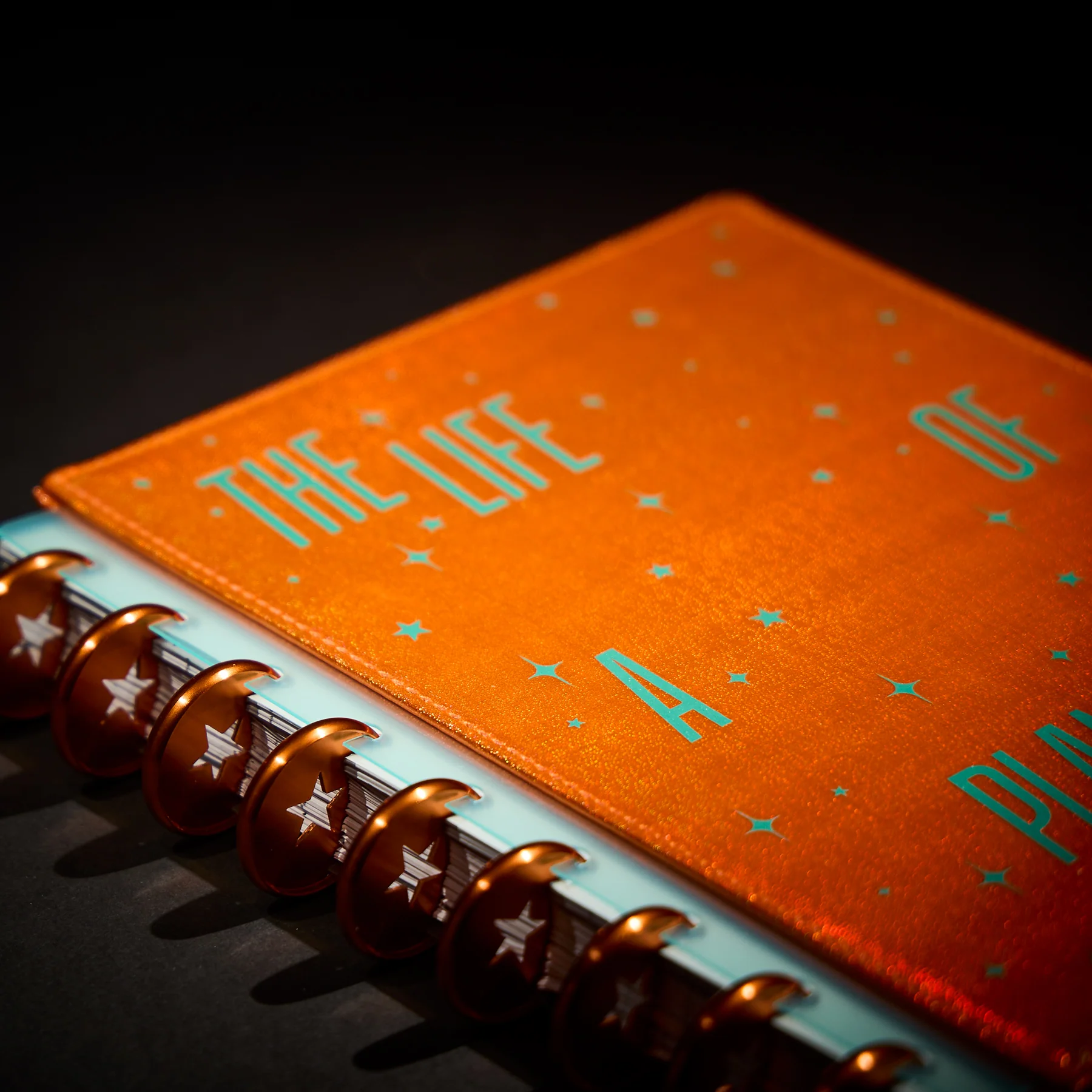 The Life of a Planner Girl - Deluxe Cover + Disc Set - Image 8