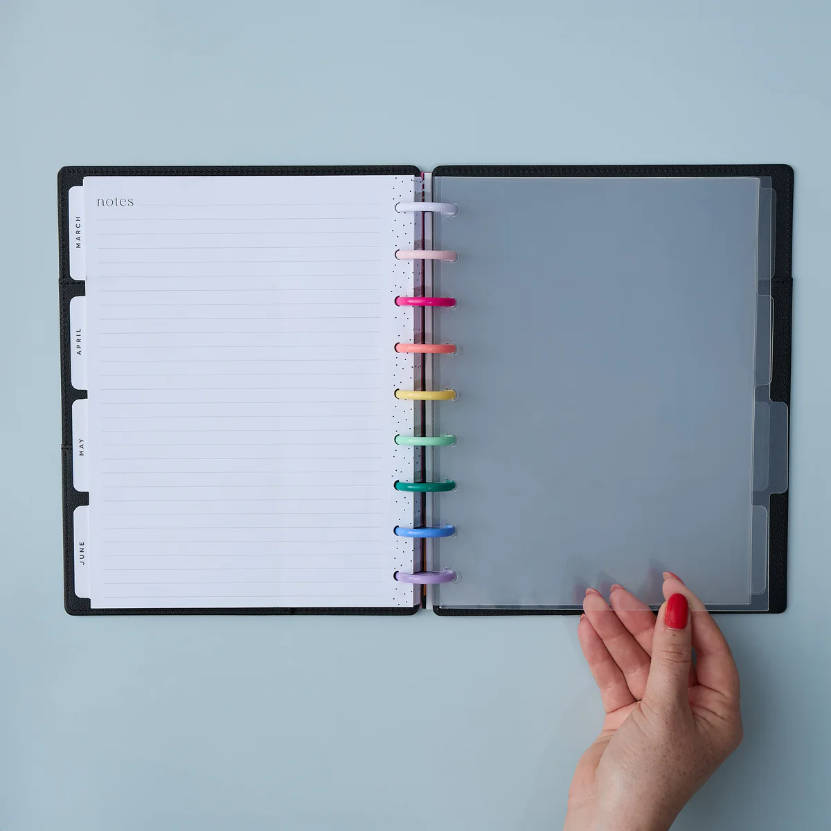 Transparent - Classic Plastic Dividers - 6 Pack - Image 2
