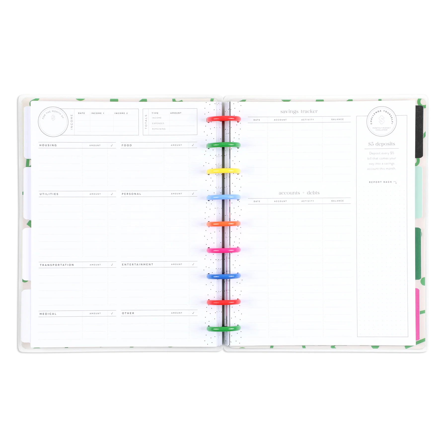 Undated Big Dollar Energy Happy Planner - Classic Budget Layout - 12 Months - Image 7