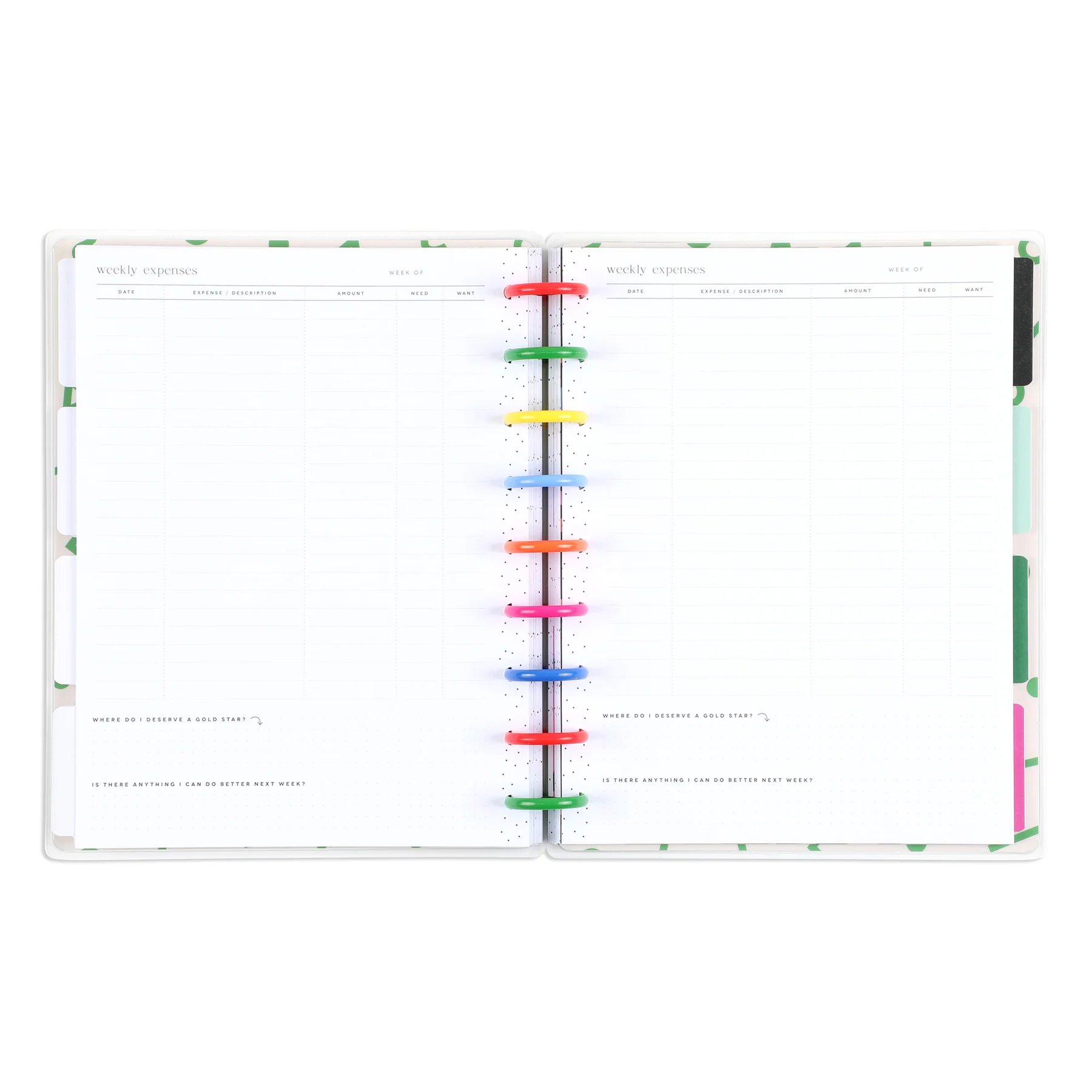 Undated Big Dollar Energy Happy Planner - Classic Budget Layout - 12 Months - Image 8