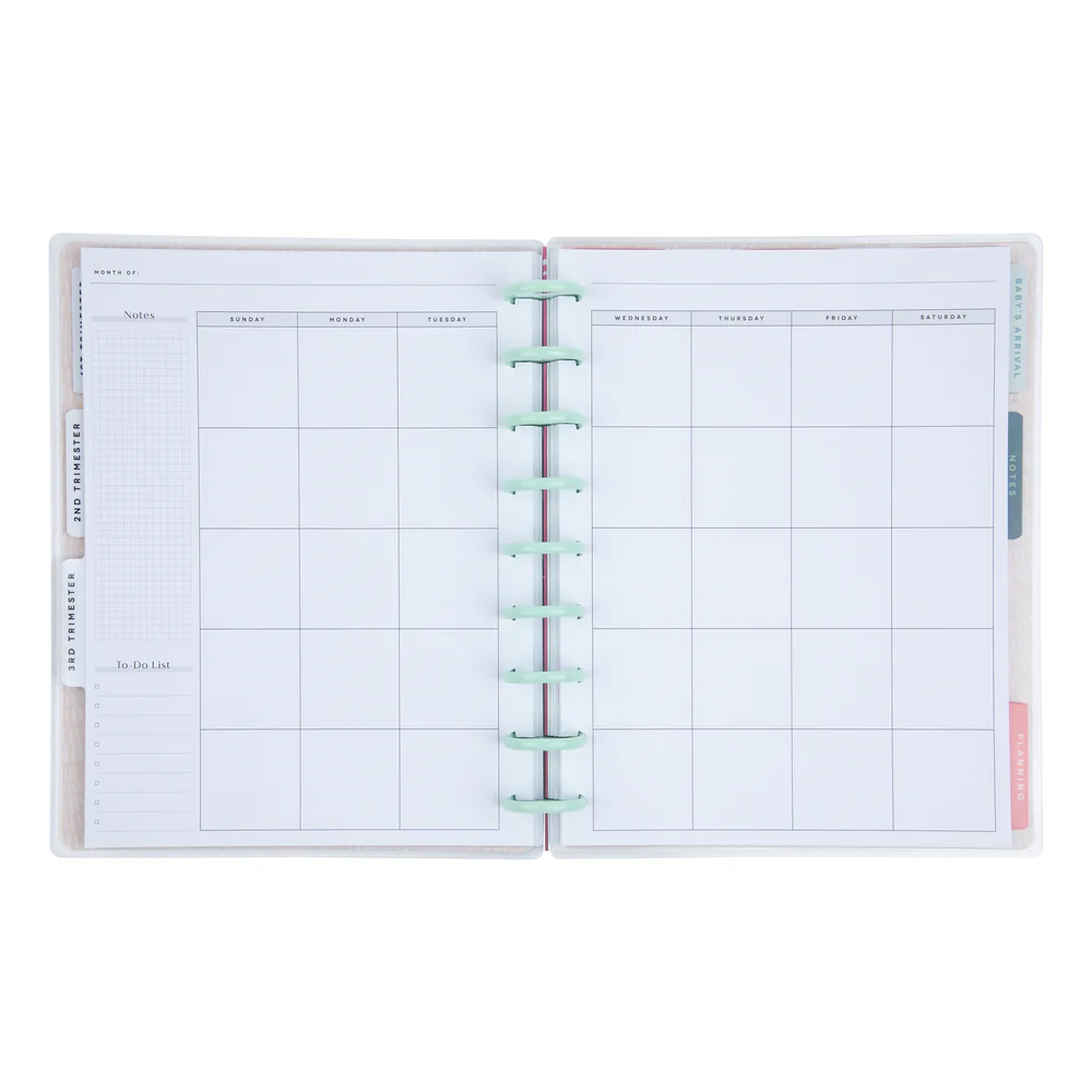 Undated Butterflies and Blooms Pregnancy Happy Planner - Classic Pregnancy Layout - 9 Months - Image 13