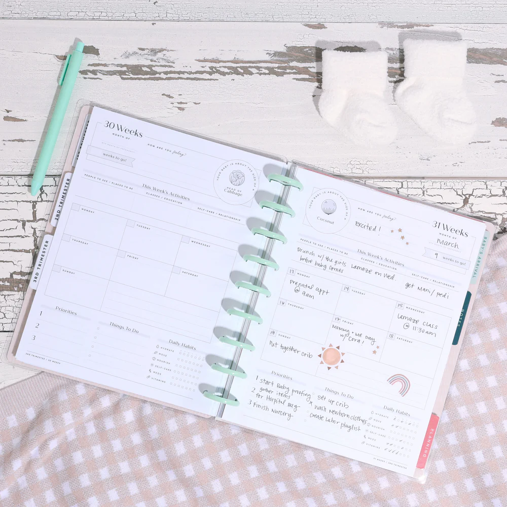 Undated Butterflies and Blooms Pregnancy Happy Planner - Classic Pregnancy Layout - 9 Months - Image 9