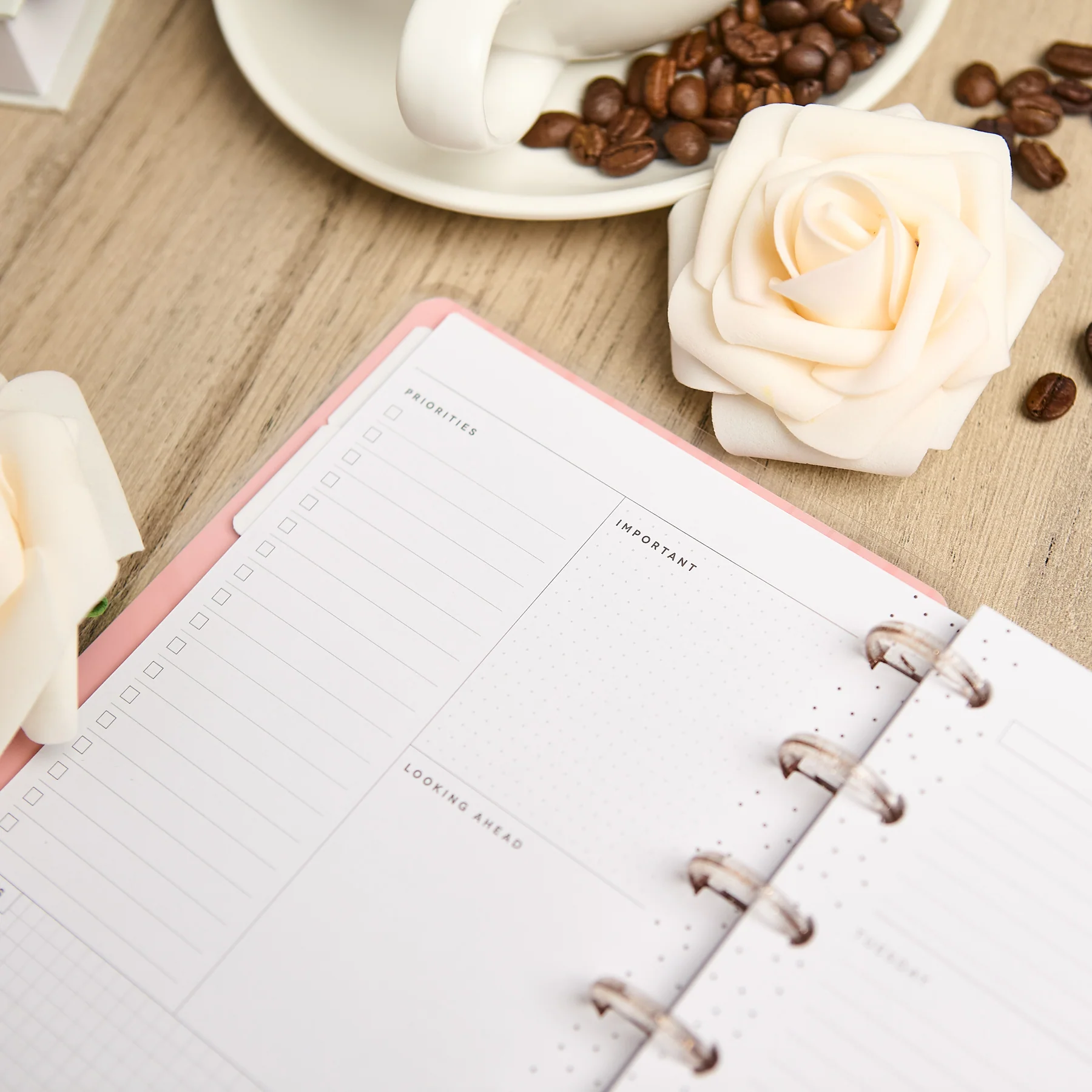 Undated Café Coquette Customizable Planner - Mini Dashboard Layout - 12 Months - Image 8