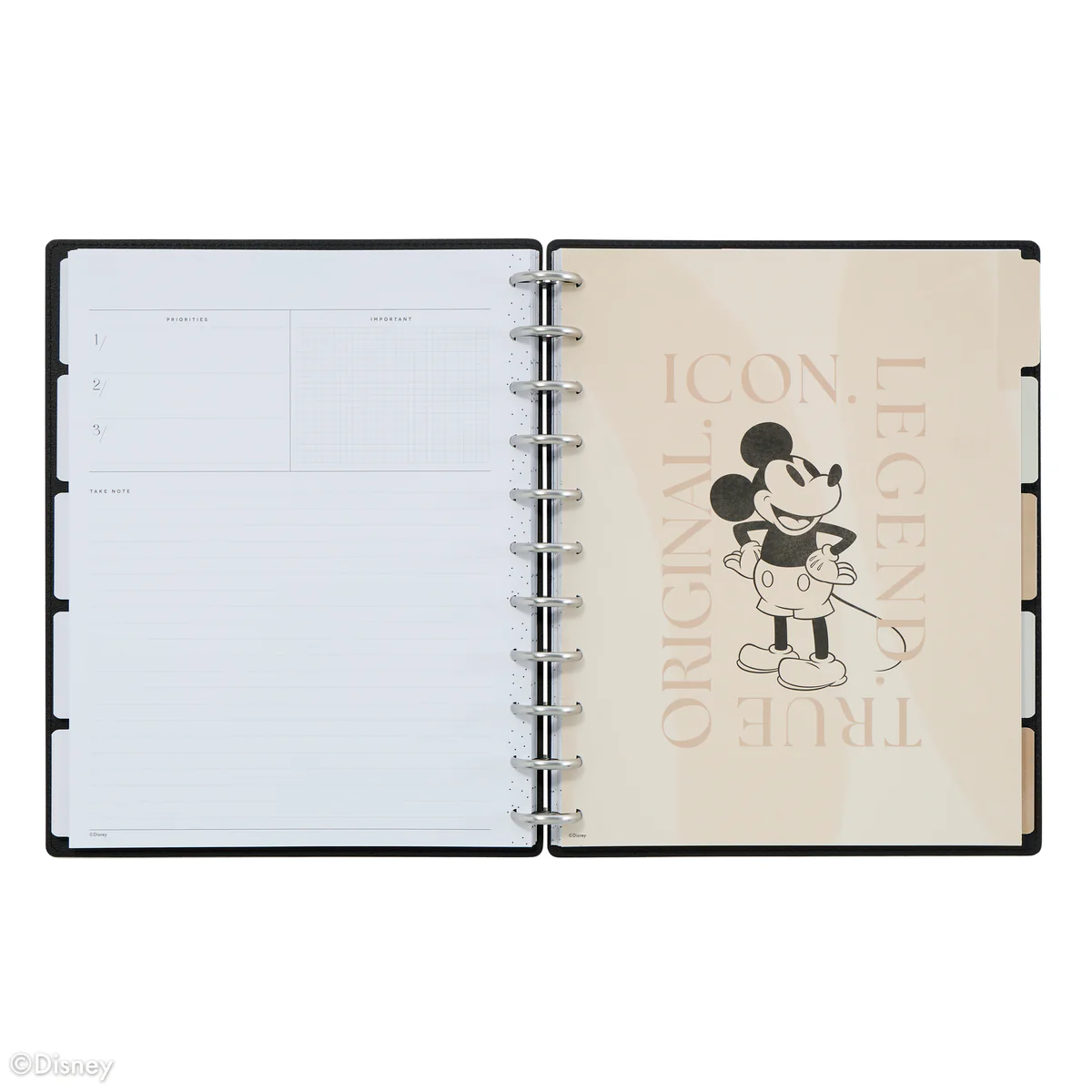 Undated DELUXE Disney Mod Mickey Mouse Customizable Planner -  Big Horizontal Layout - 12 Months - Image 5